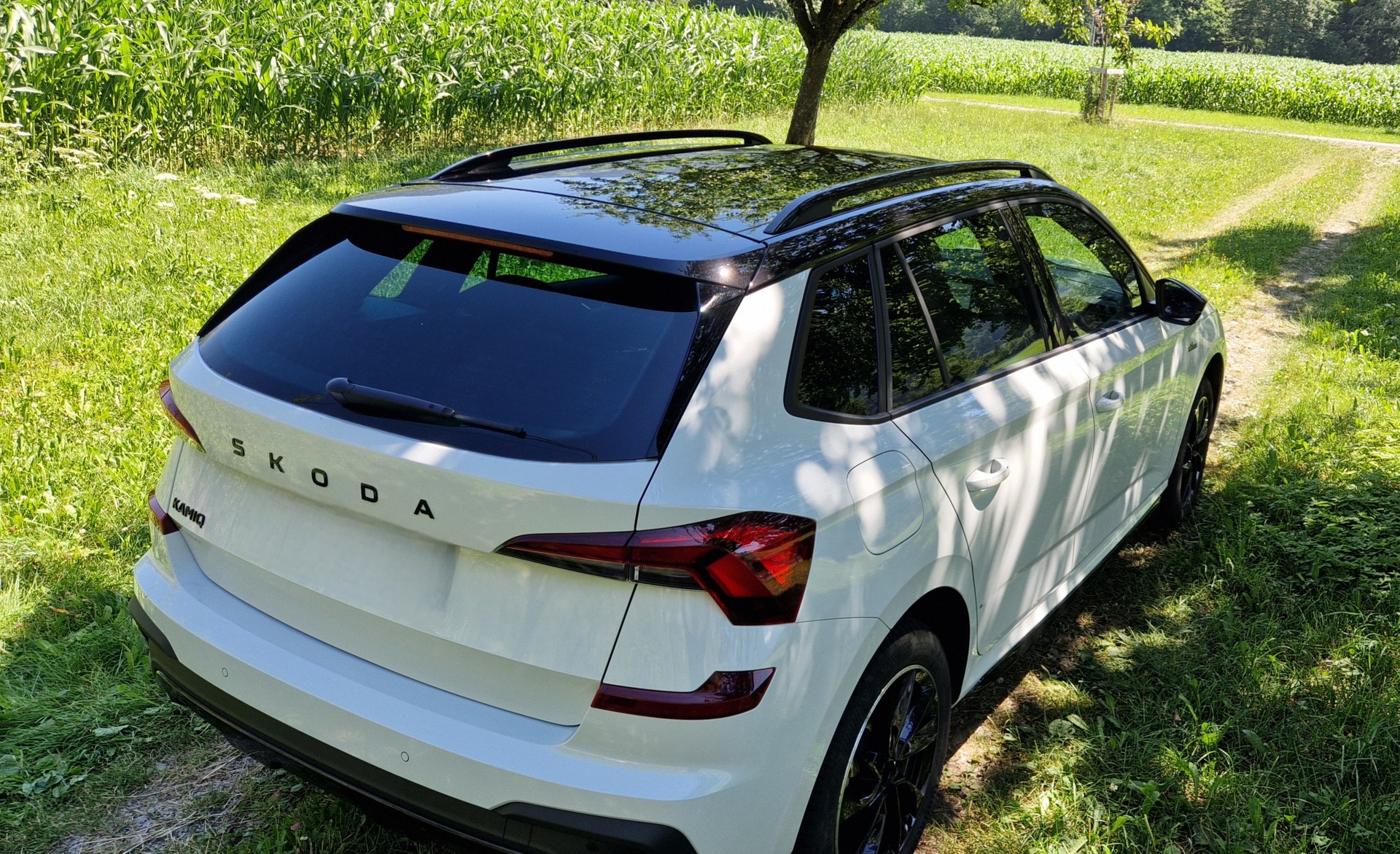SKODA 1.5 TSI Monte Carlo DSG-image-3