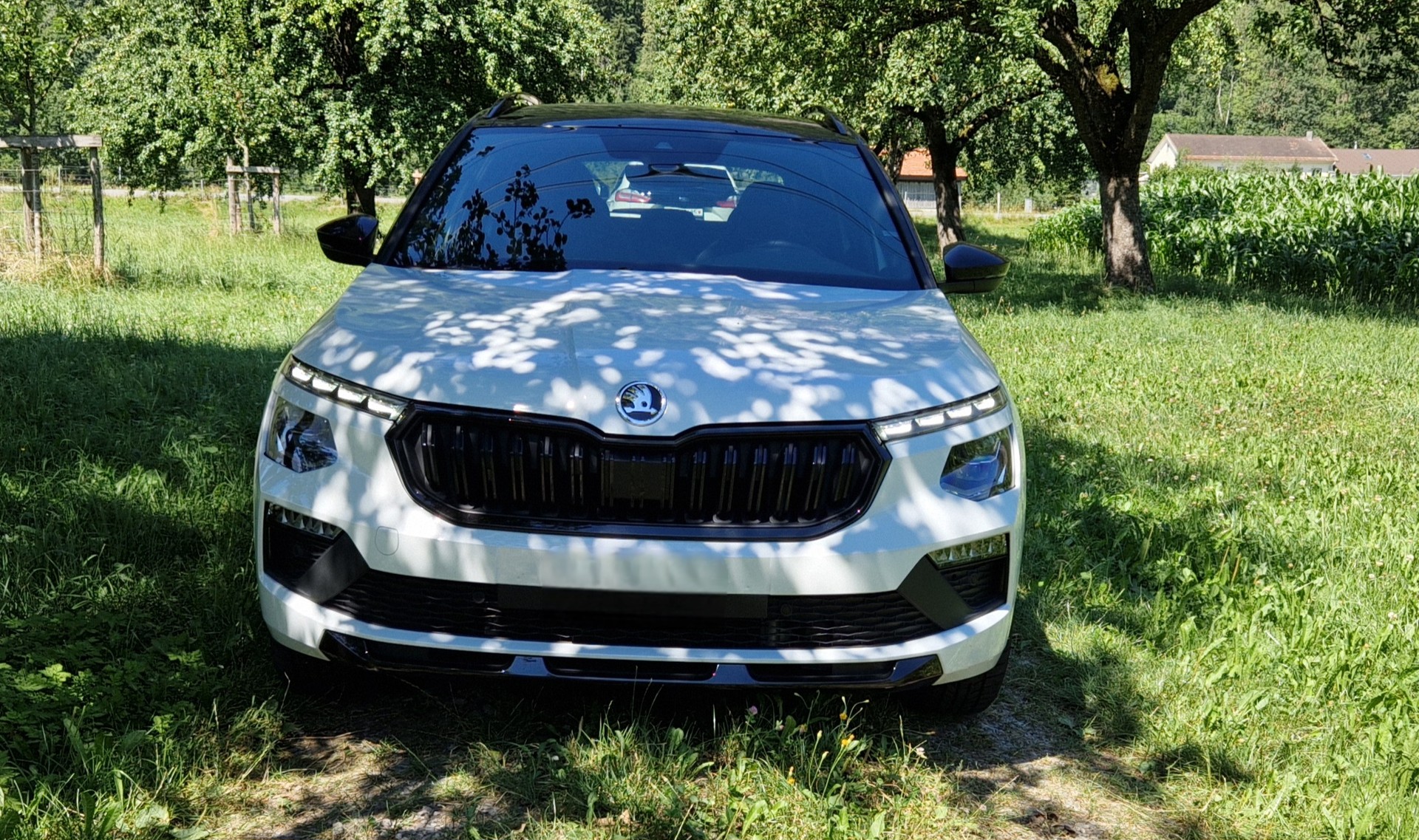 SKODA 1.5 TSI Monte Carlo DSG-image-4