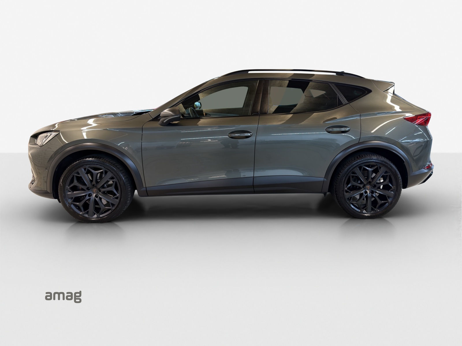 CUPRA Formentor 2.0TSI Tribe Edition 4Drive DSG-image-1