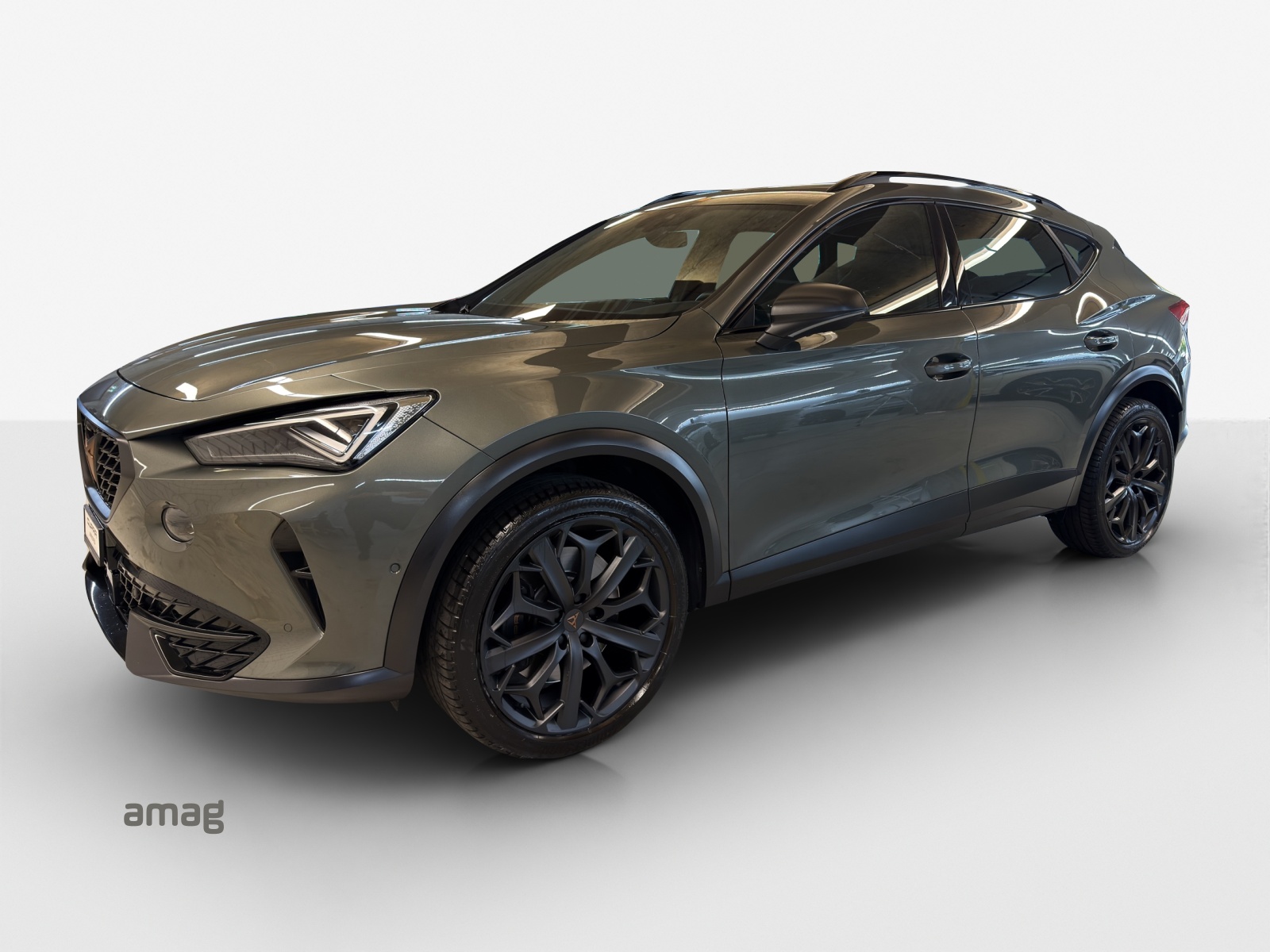 CUPRA Formentor 2.0TSI Tribe Edition 4Drive DSG-image-0