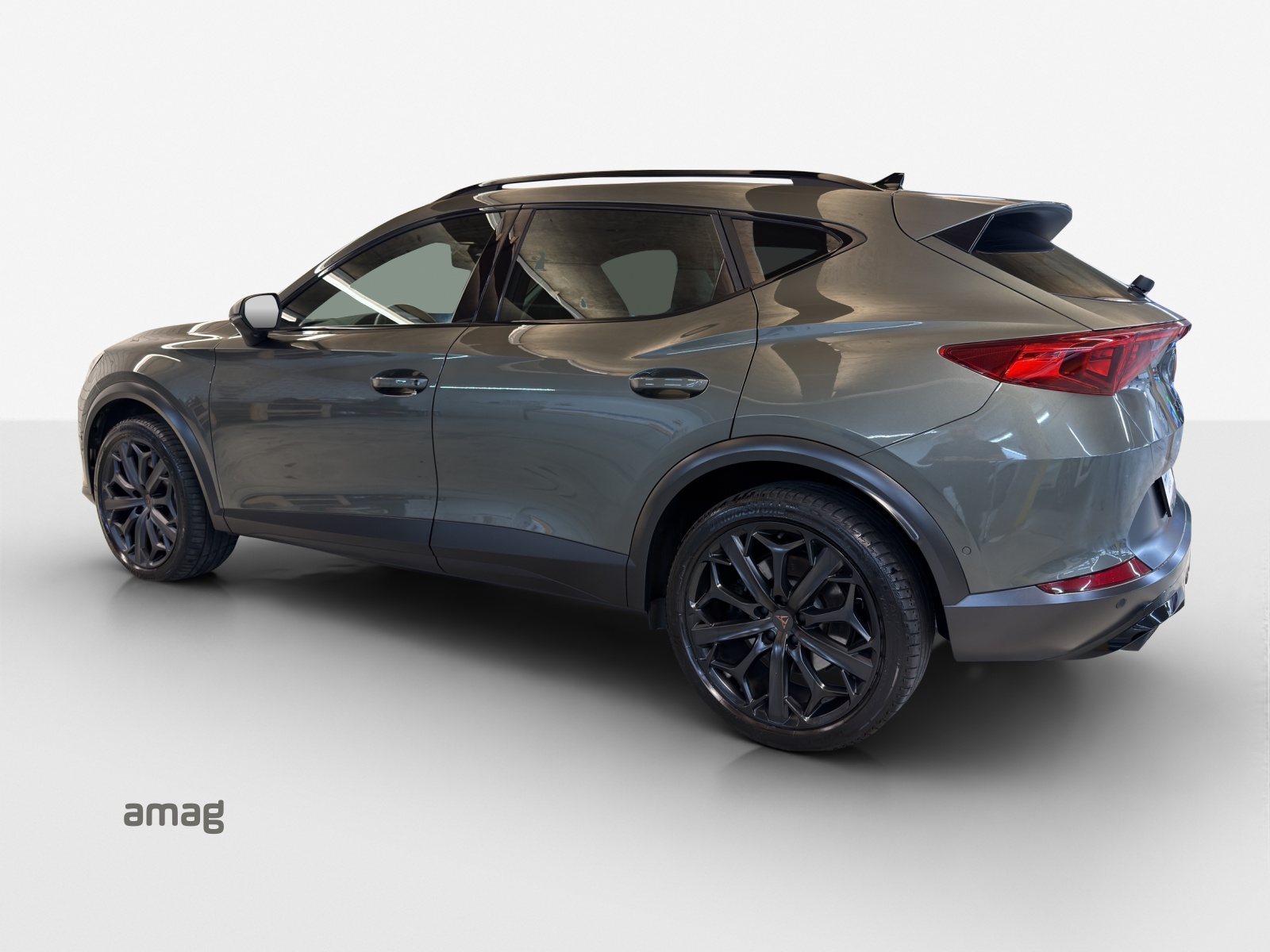 CUPRA Formentor 2.0TSI Tribe Edition 4Drive DSG-image-2