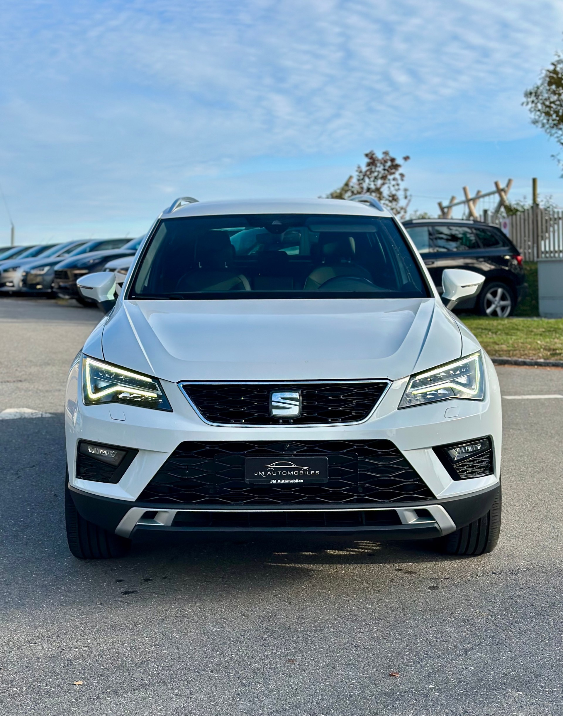 SEAT Ateca 2.0 TDI CR Xcellence 4Drive DSG-image-4