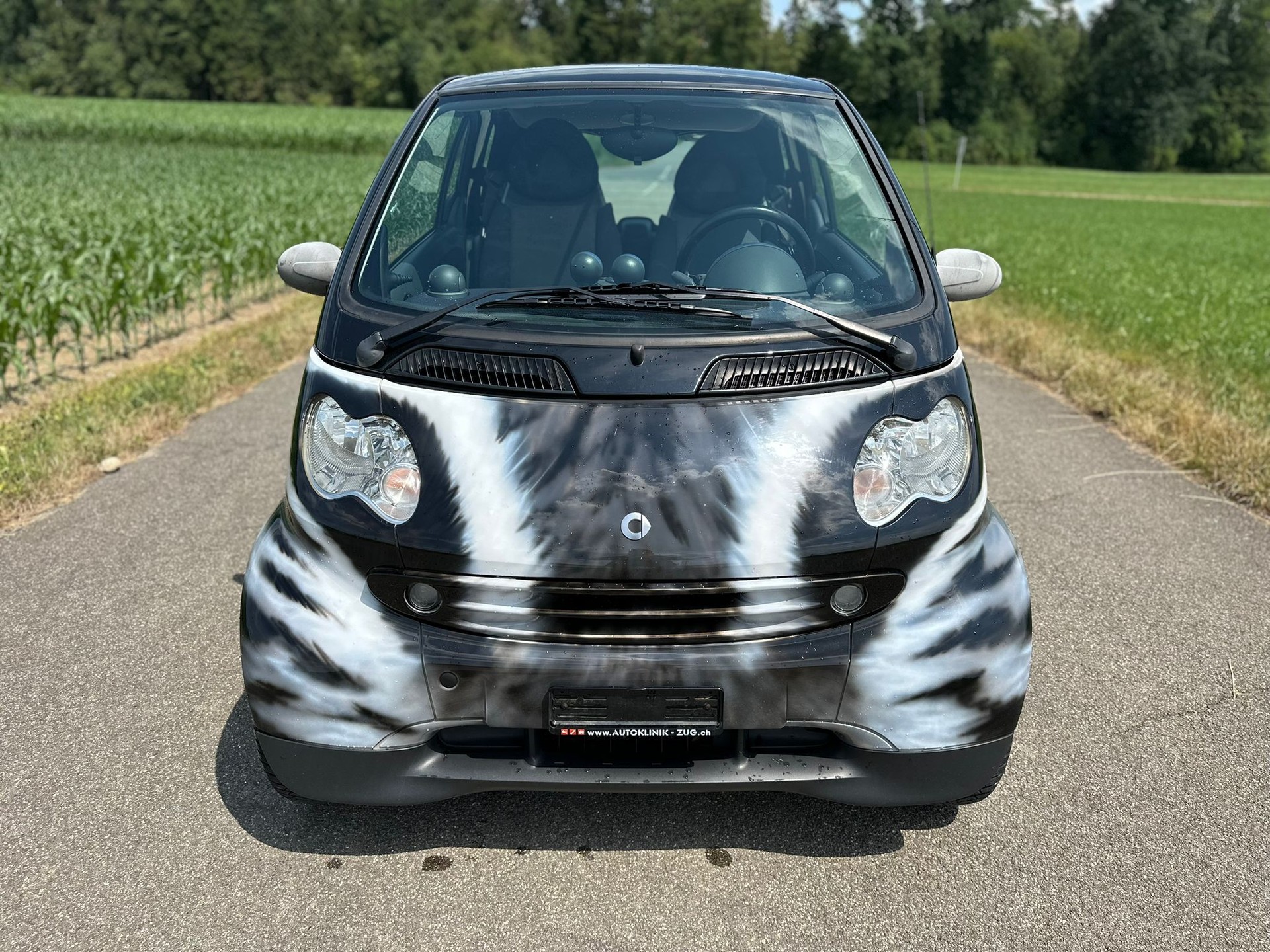 SMART fortwo passion-image-2