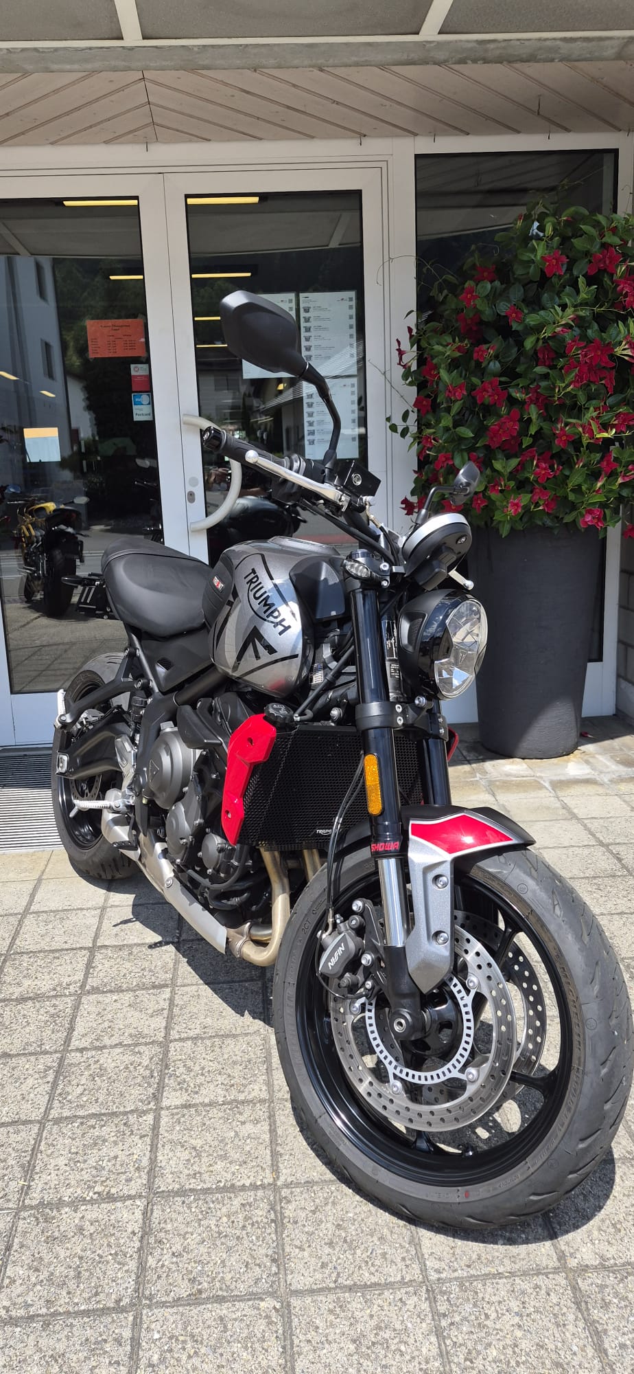 TRIUMPH Trident 660-image-4