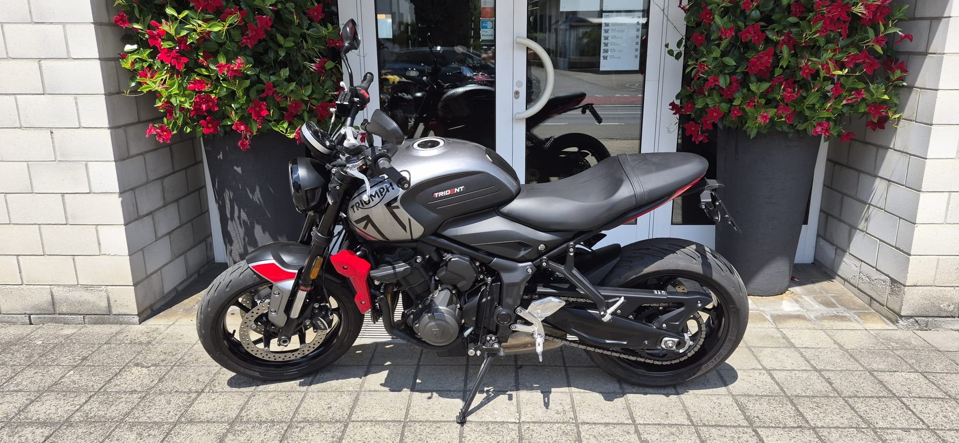 TRIUMPH Trident 660-showroom-element-2