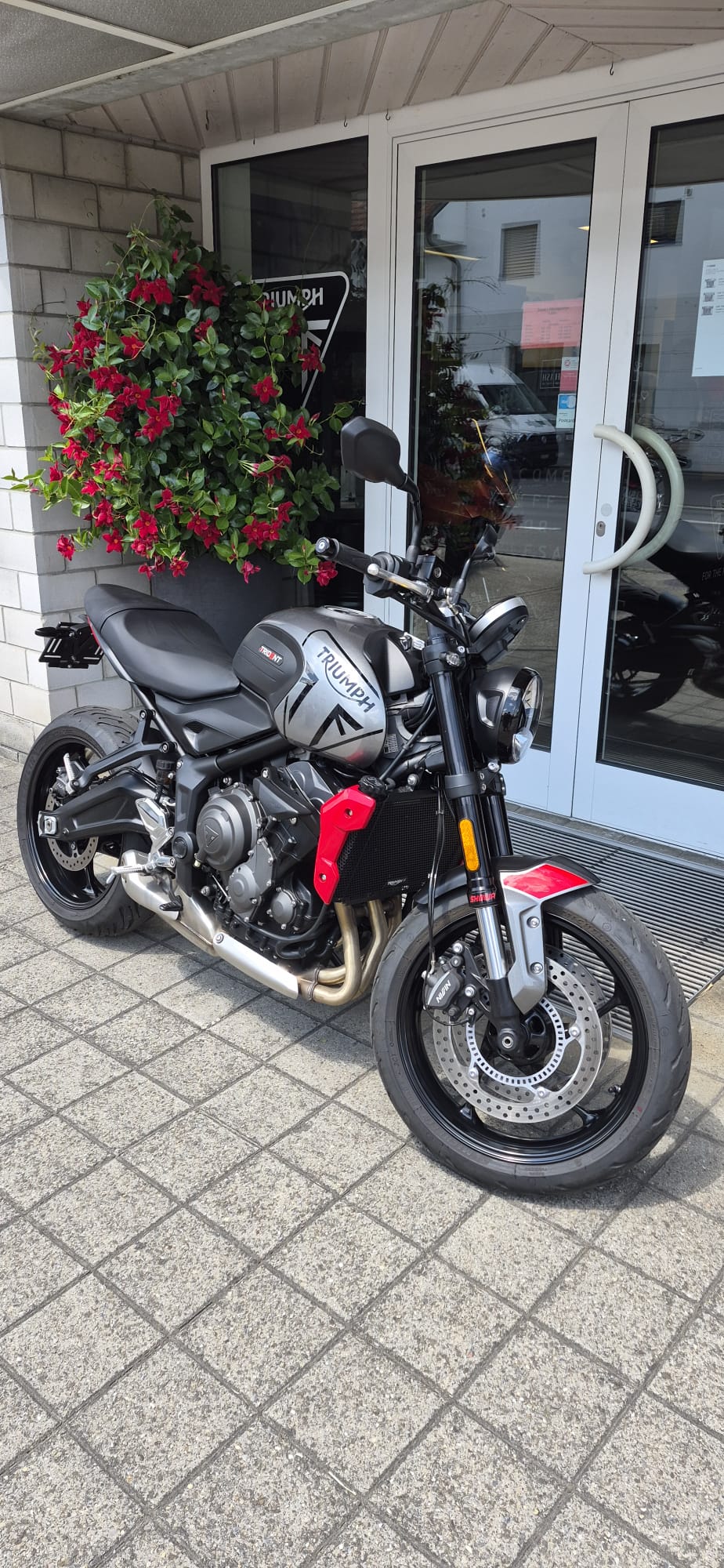 TRIUMPH Trident 660-showroom-element-3