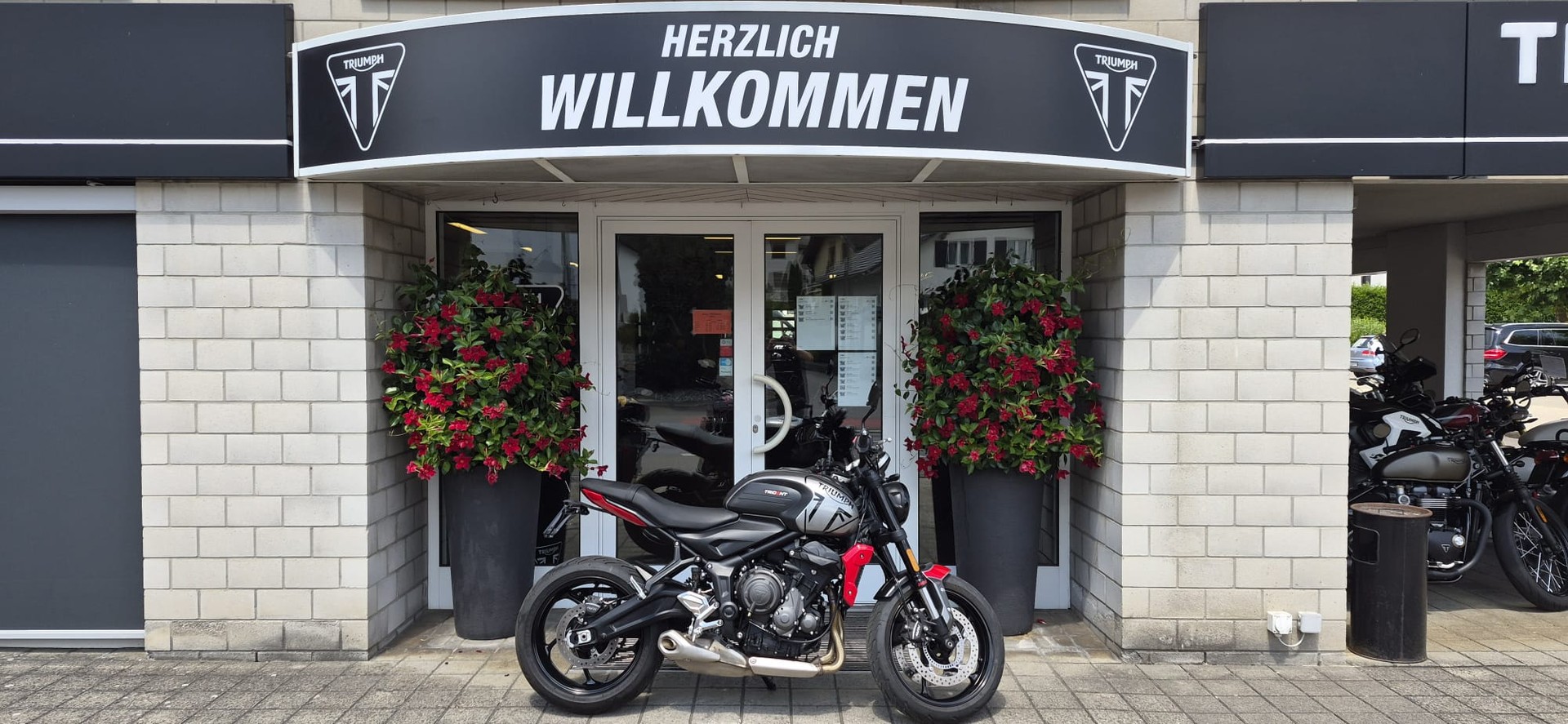 TRIUMPH Trident 660