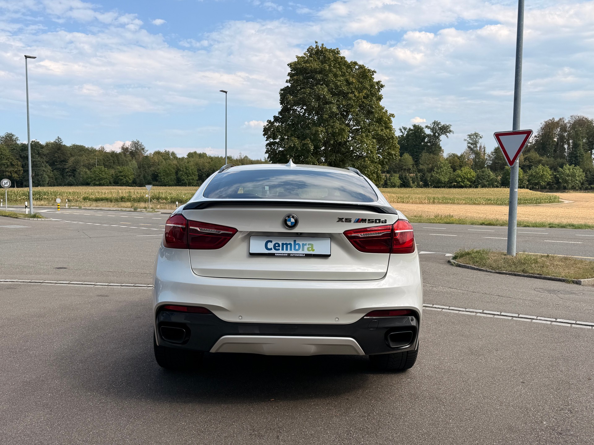 BMW X6 M50d Steptronic-image-2