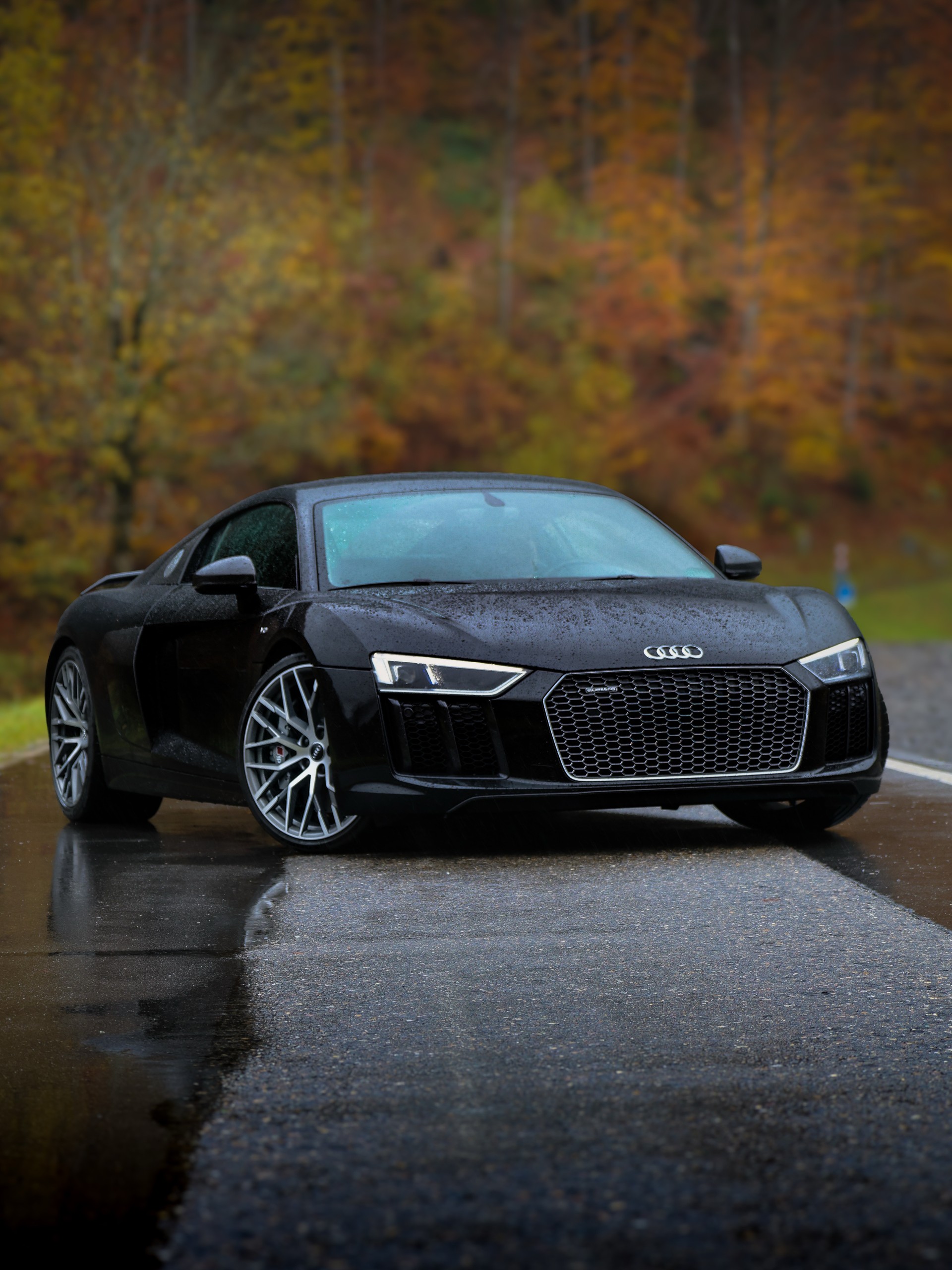 AUDI 5.2 FSI V10 plus quattro S-Tronic-image-0