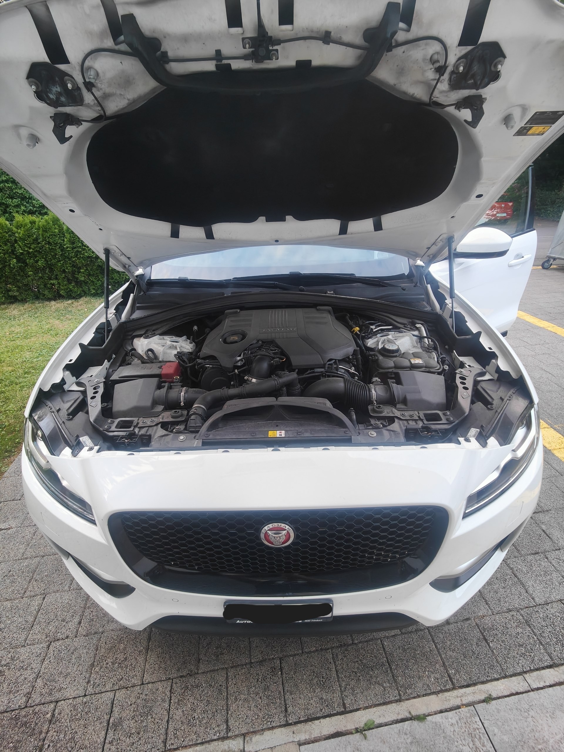 JAGUAR 3.0 V6 D 90YRS Celebration Edition AWD-image-13