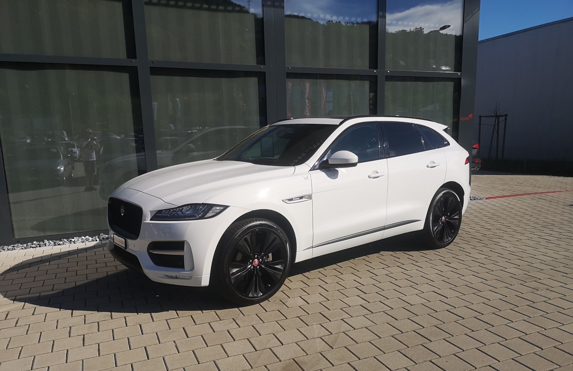 JAGUAR 3.0 V6 D 90YRS Celebration Edition AWD-image-2