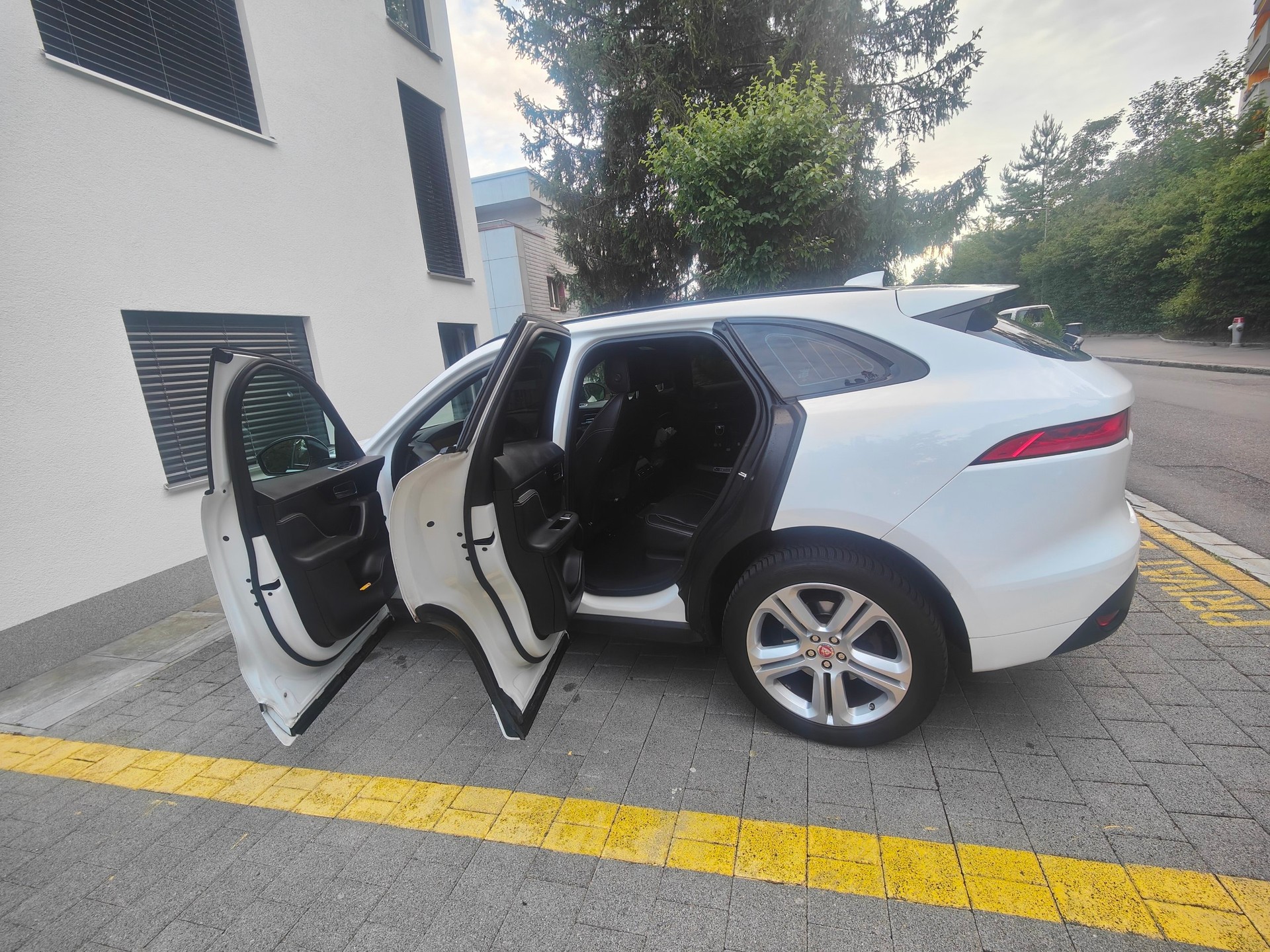 JAGUAR 3.0 V6 D 90YRS Celebration Edition AWD-image-10