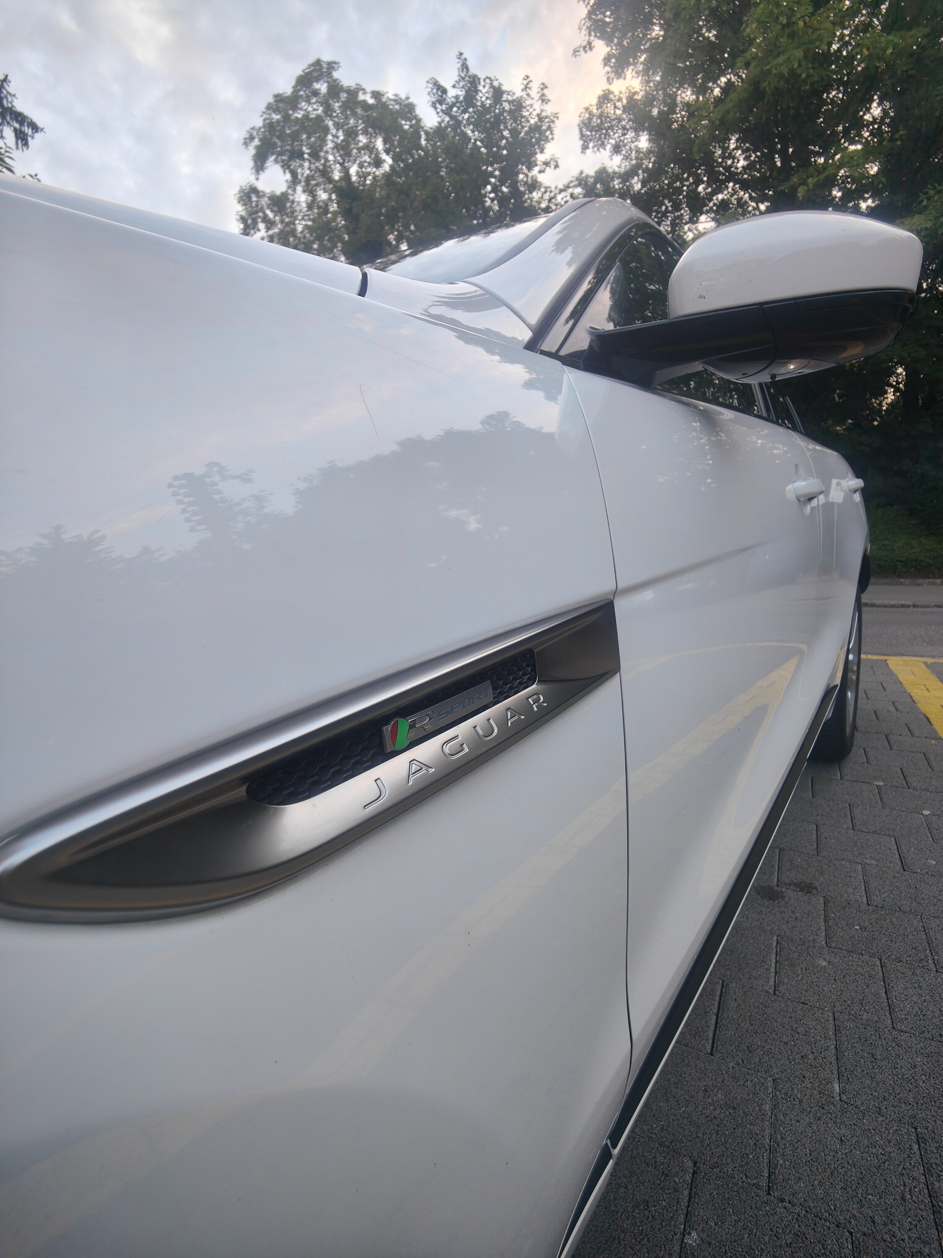 JAGUAR 3.0 V6 D 90YRS Celebration Edition AWD-image-15