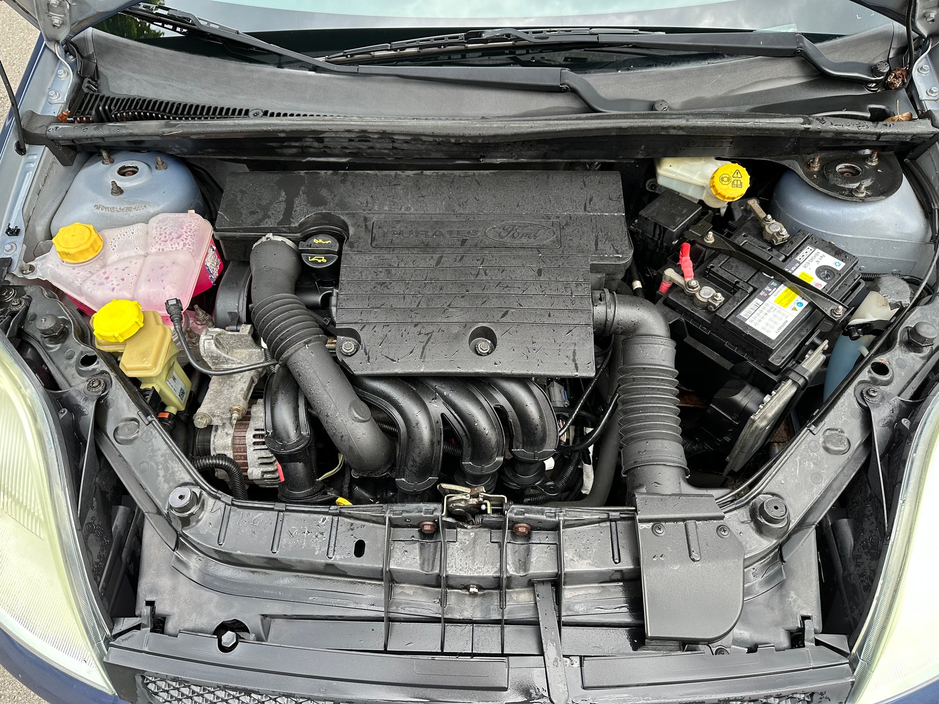 FORD Fiesta 1.4 16V Trend FIXPREIS-image-12