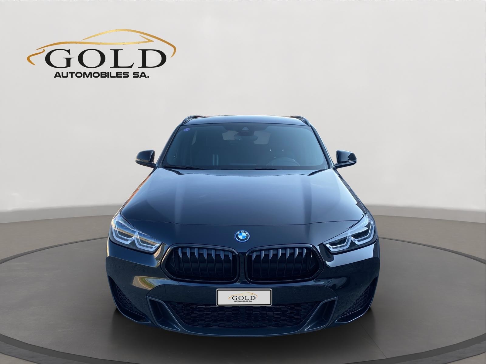 BMW X2 xDrive 25e M Sport Steptronic-image-12