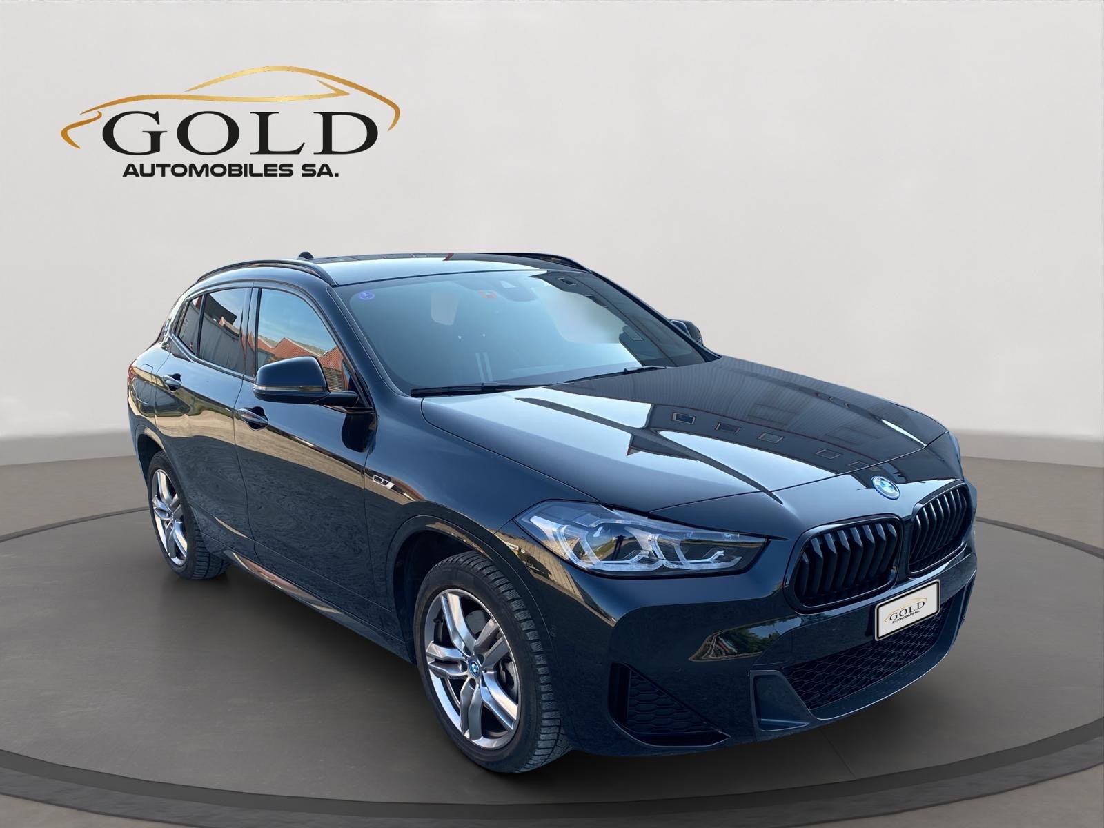 BMW X2 xDrive 25e M Sport Steptronic-image-8