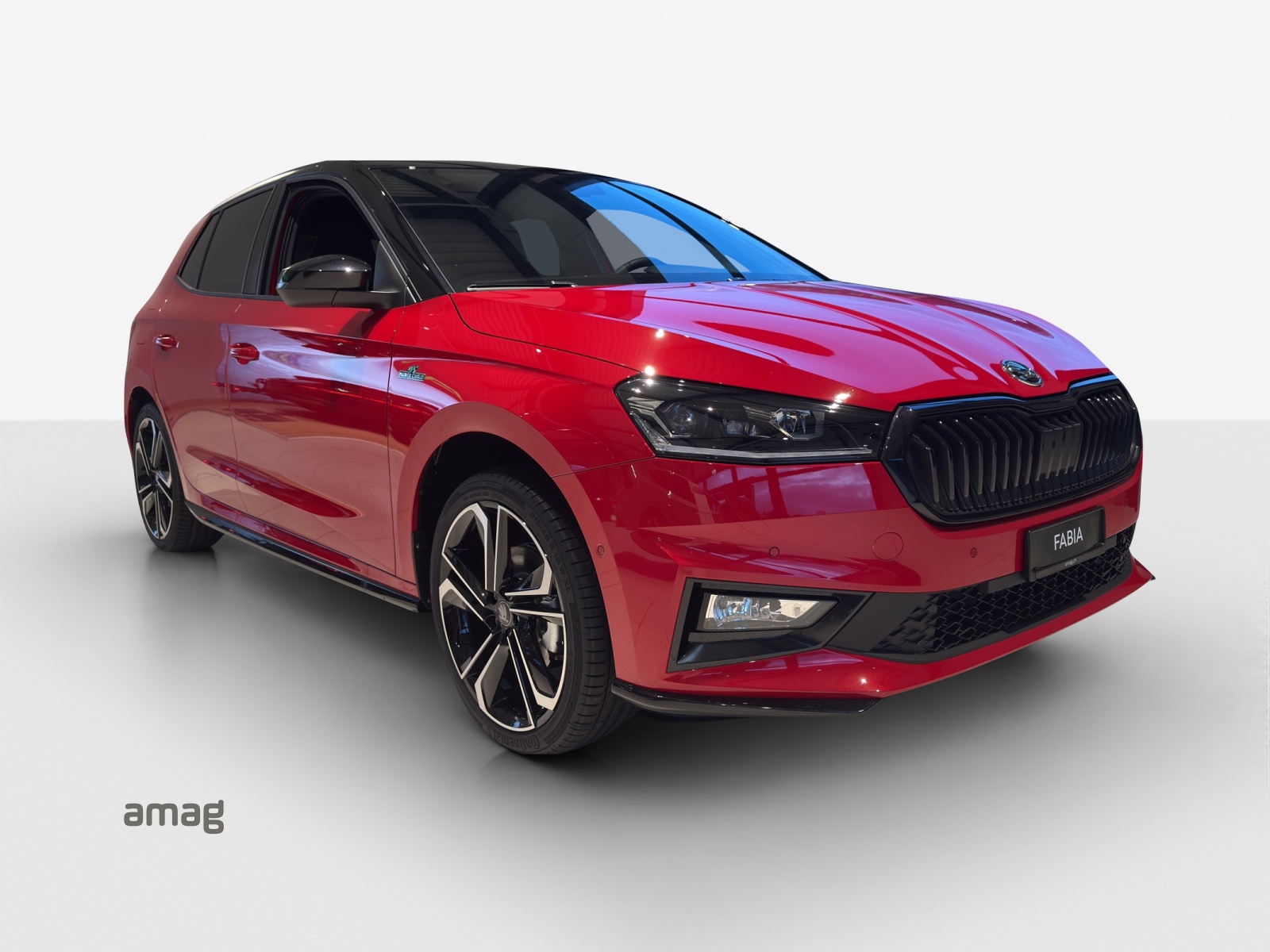 SKODA Fabia 1.0 TSI Monte Carlo DSG-image-5