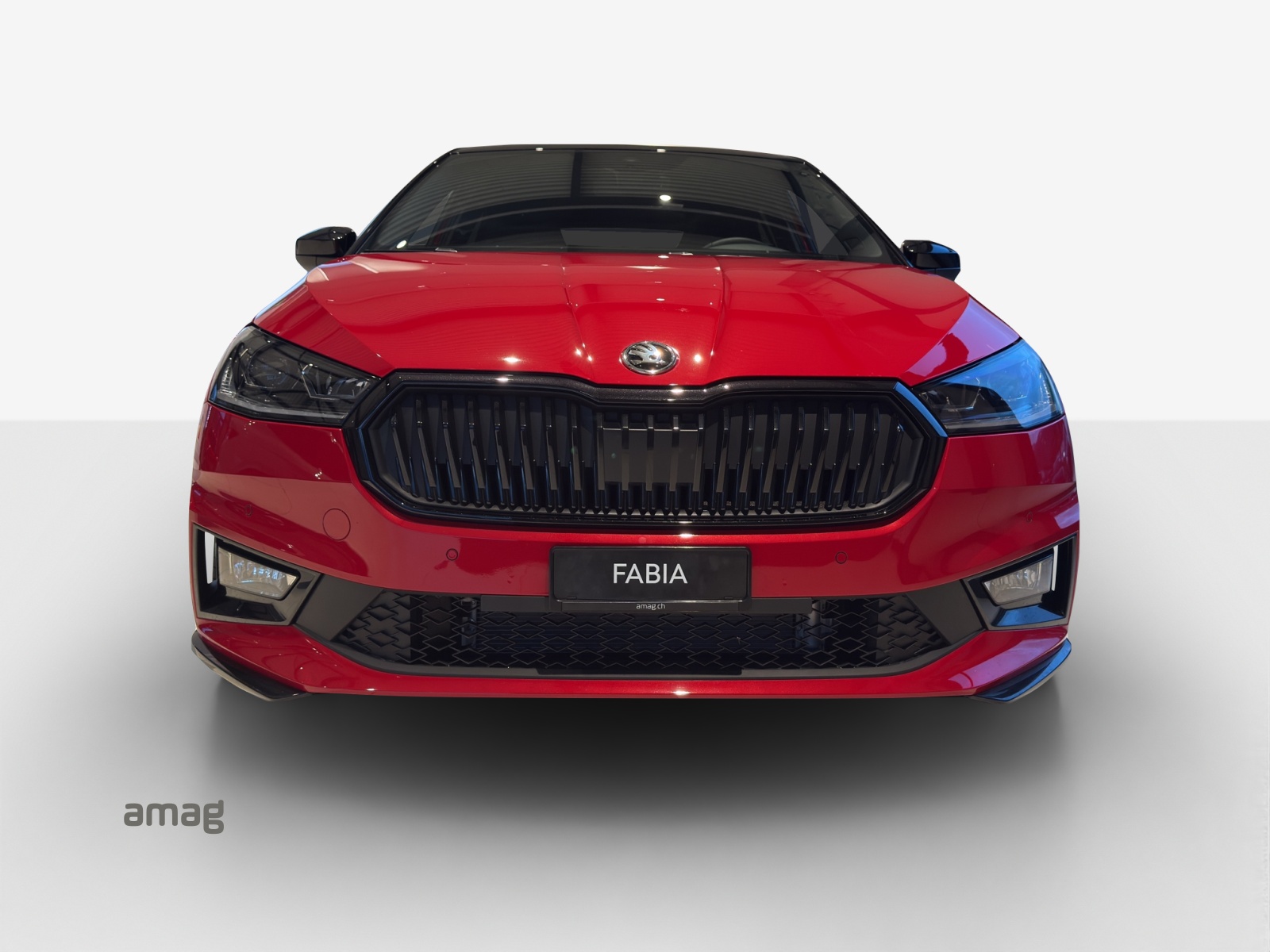 SKODA Fabia 1.0 TSI Monte Carlo DSG-image-6