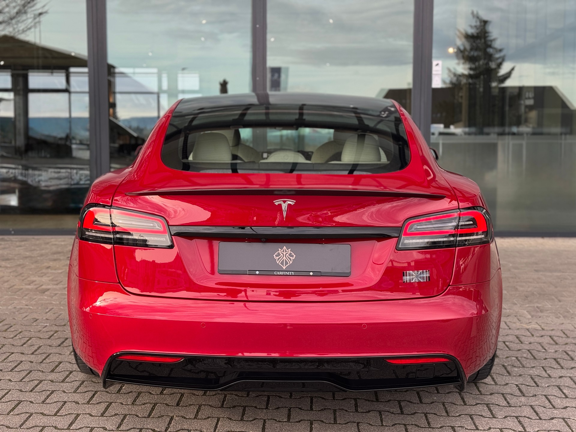 TESLA Model S 100 kWh Plaid-image-4