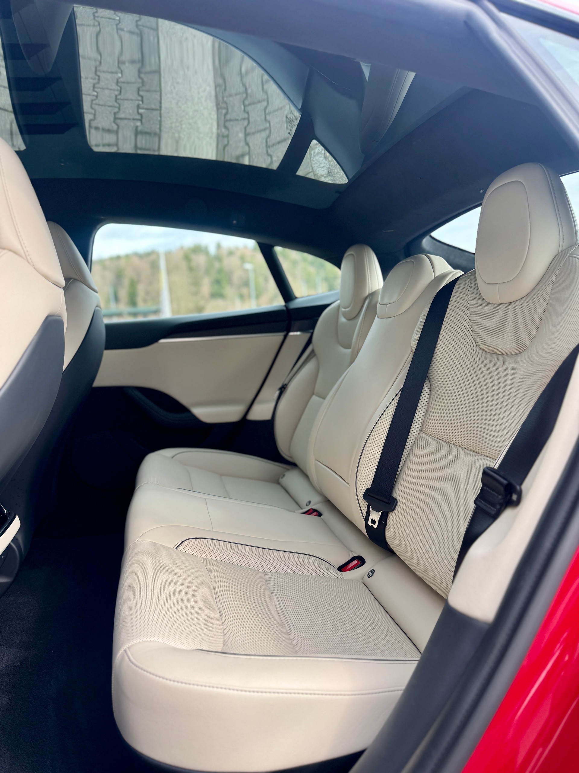 TESLA Model S 100 kWh Plaid-image-9