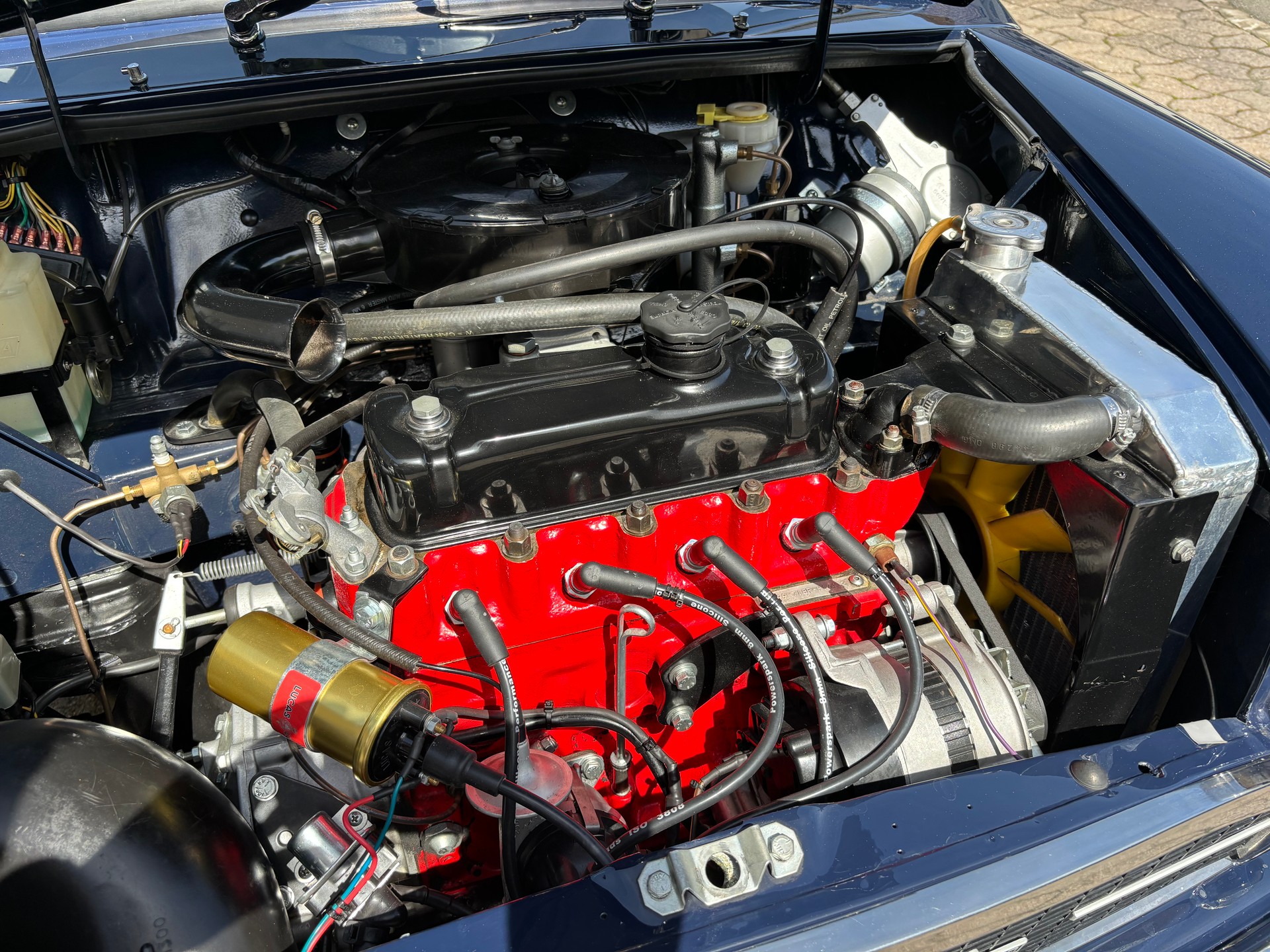 MINI innocenti-image-5