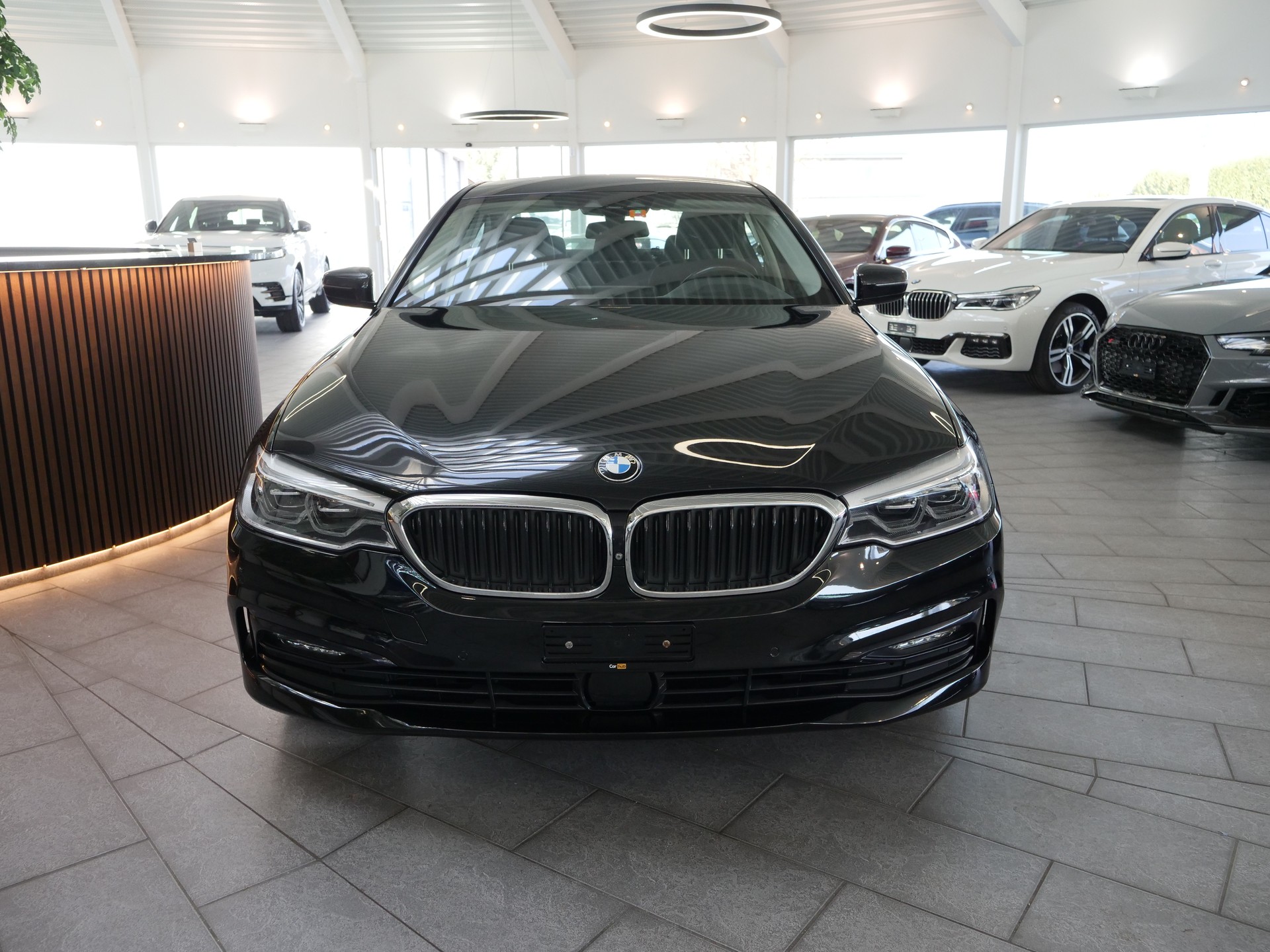 BMW 530d xDrive Sport Line Steptronic-image-4