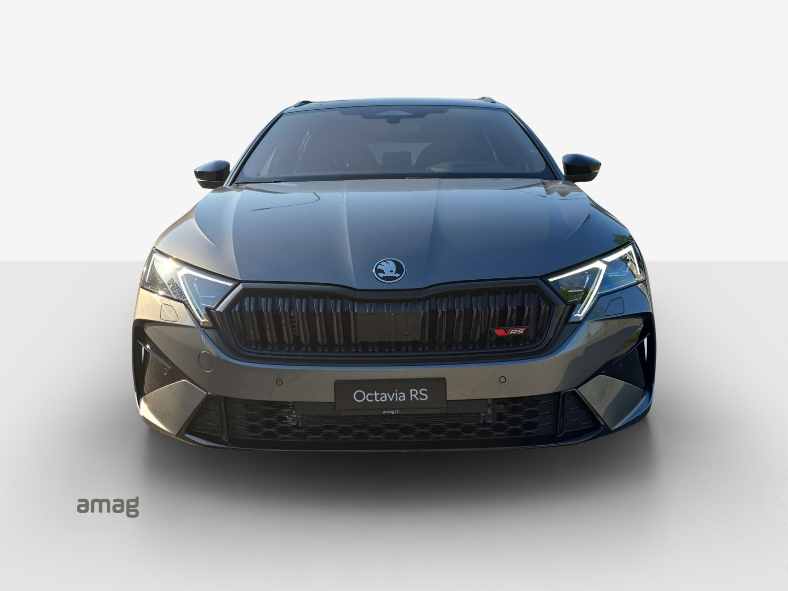 SKODA Octavia Combi 2.0 TSI DSG RS 30 Years Edition-image-6