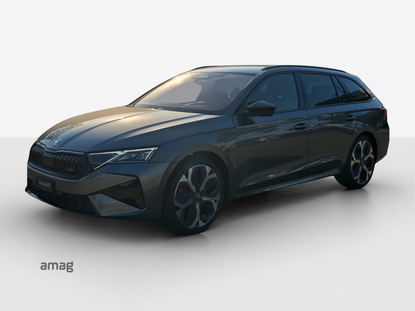 SKODA Octavia Combi 2.0 TSI DSG RS 30 Years Edition-image-0