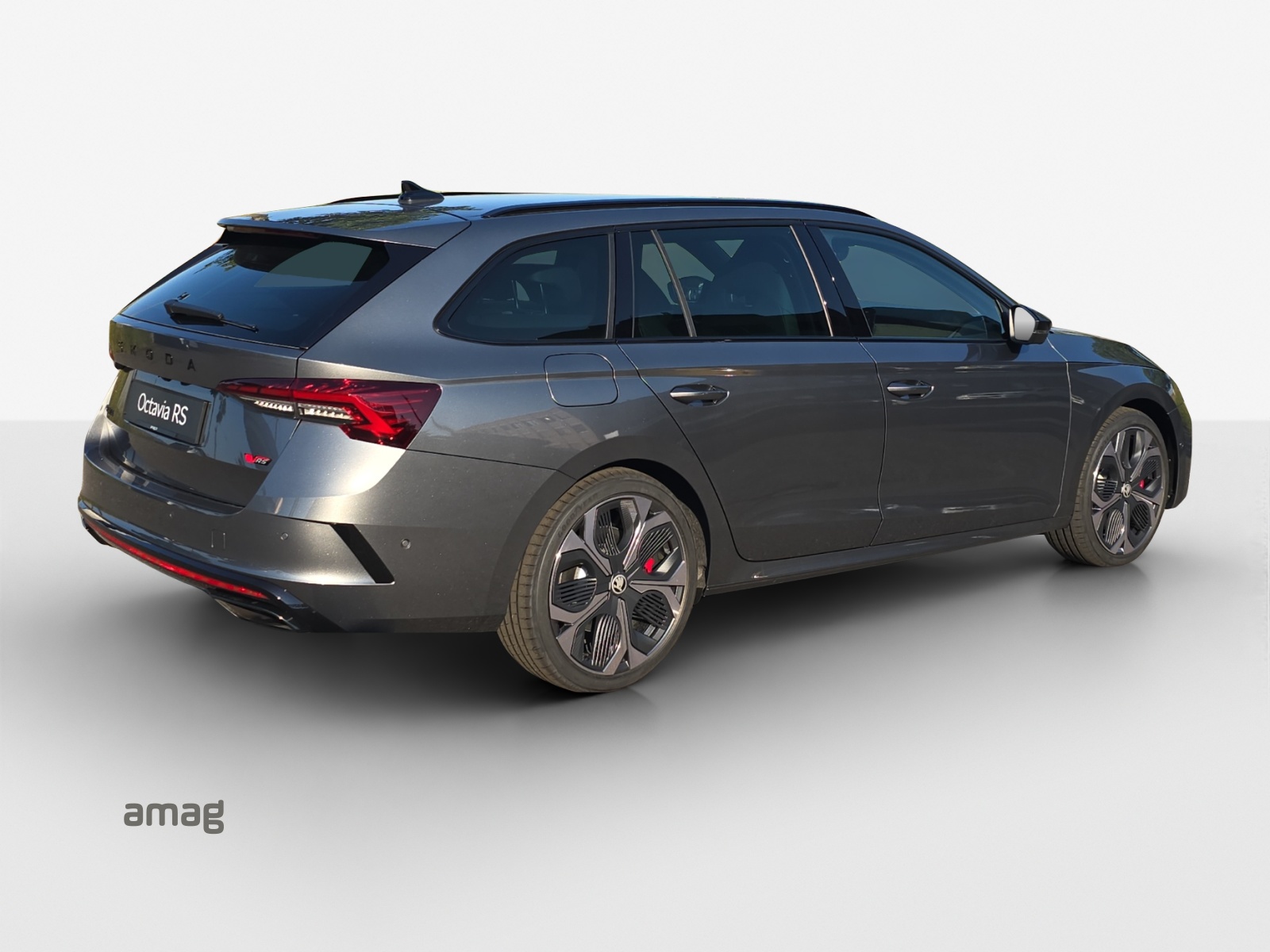 SKODA Octavia Combi 2.0 TSI DSG RS 30 Years Edition-image-4
