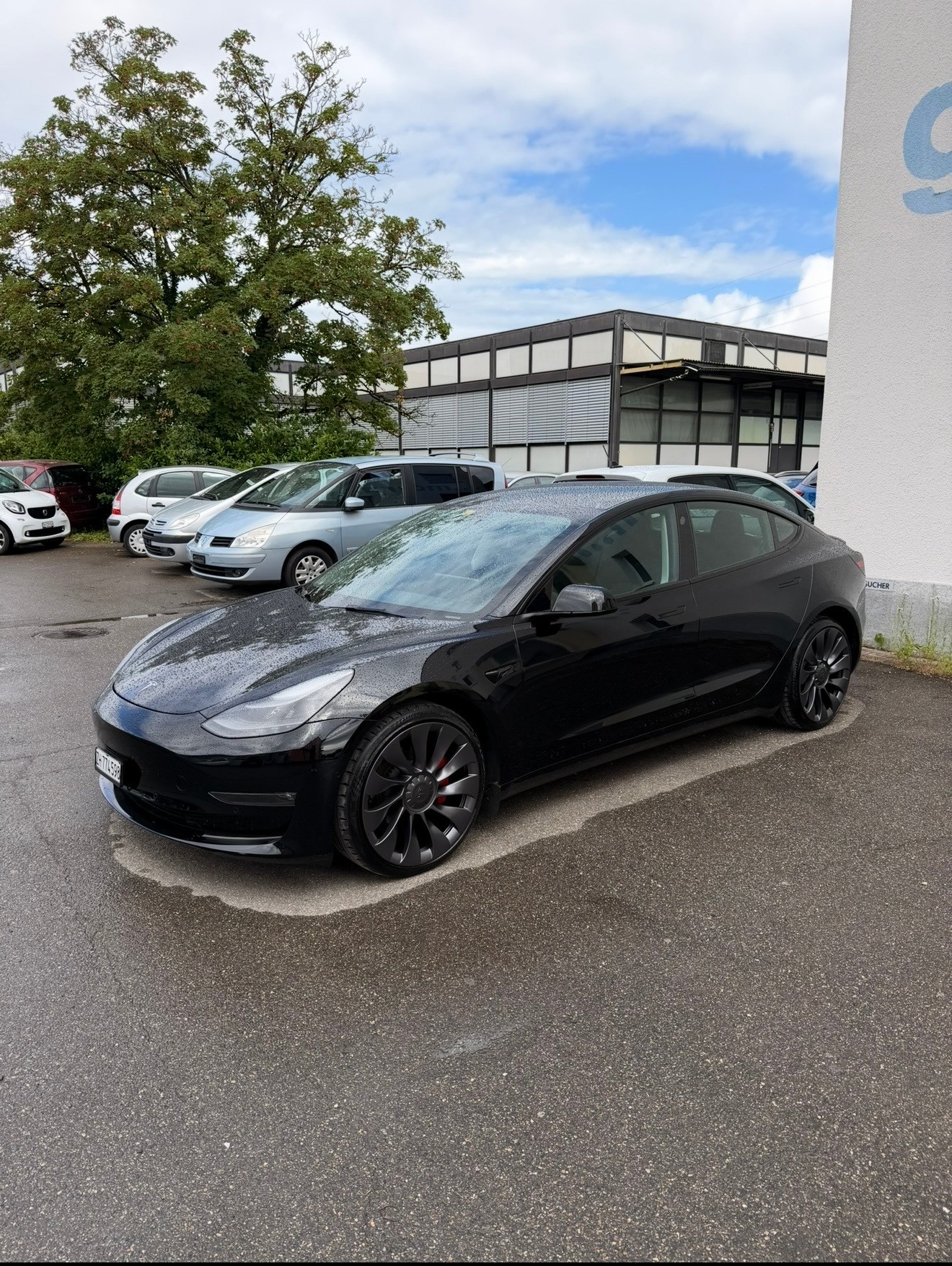 TESLA Performance D-image-3