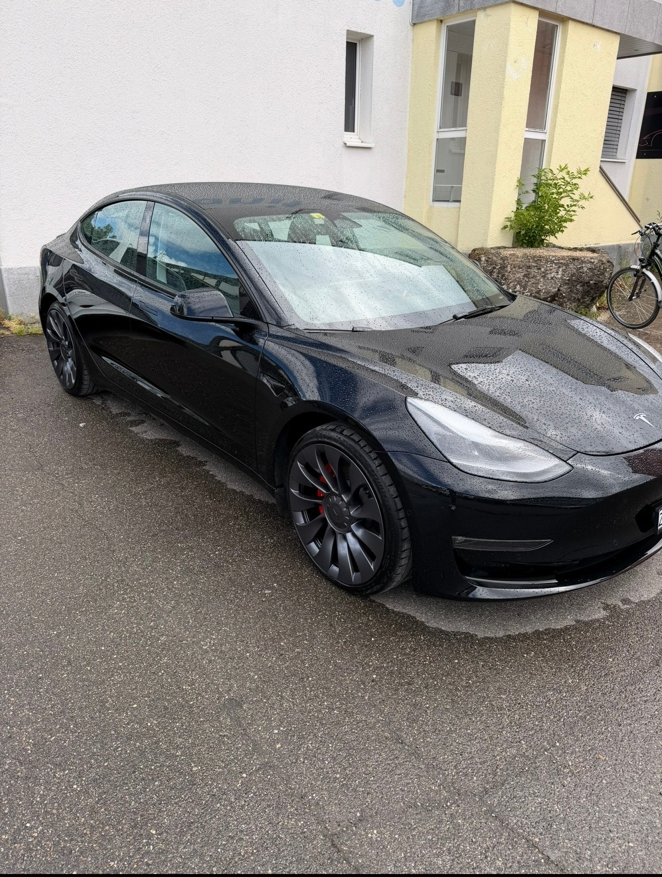 TESLA Performance D-image-2