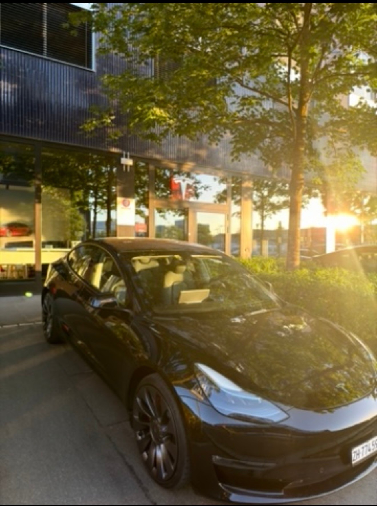 TESLA Performance D-image-0