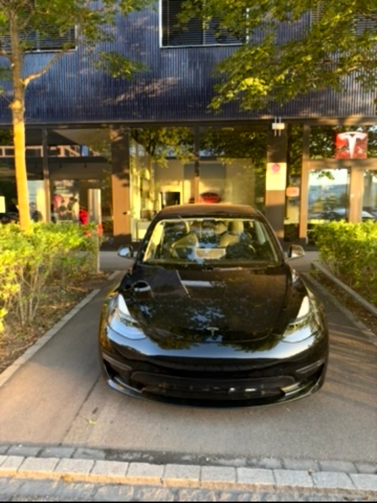TESLA Performance D-image-1