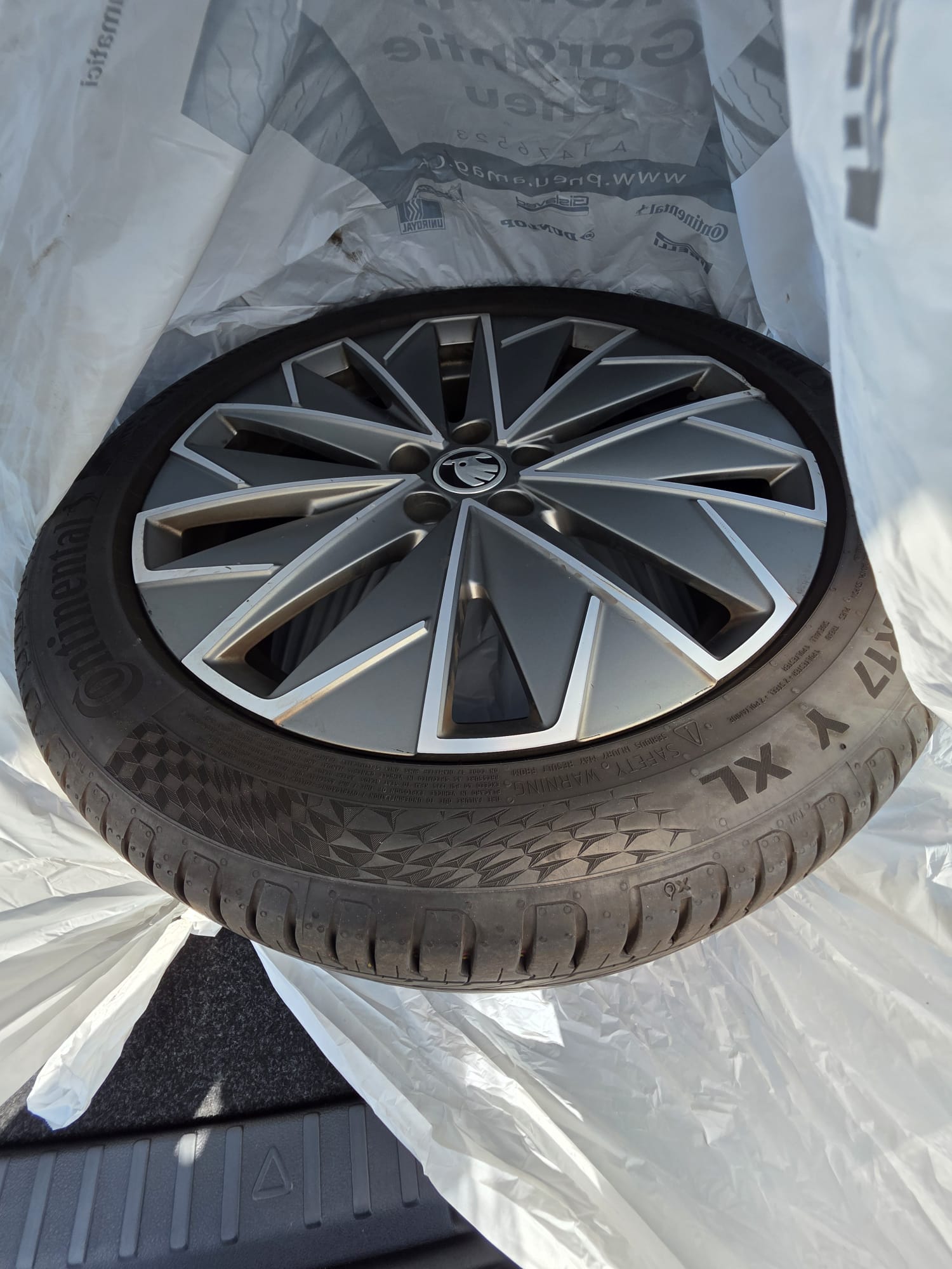 SKODA Scala 1.0 TSI Ambition DSG-image-13