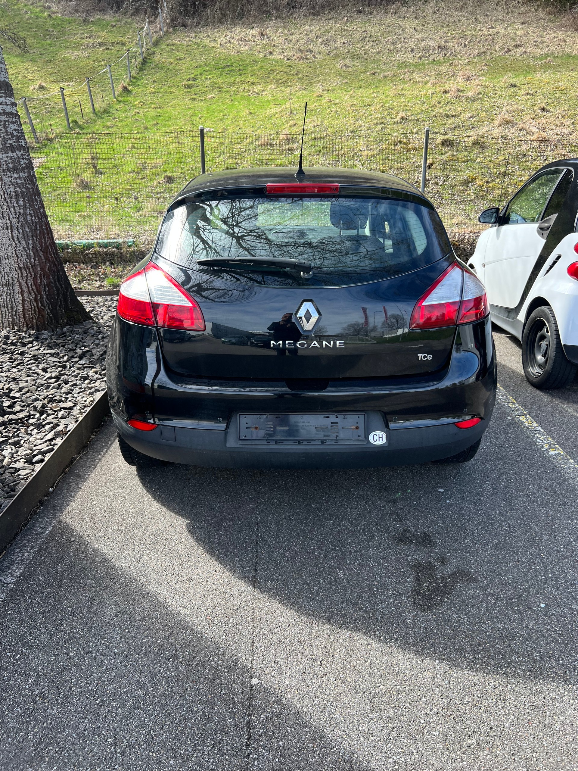 RENAULT Mégane 1.4 16V Turbo Privilège-image-2