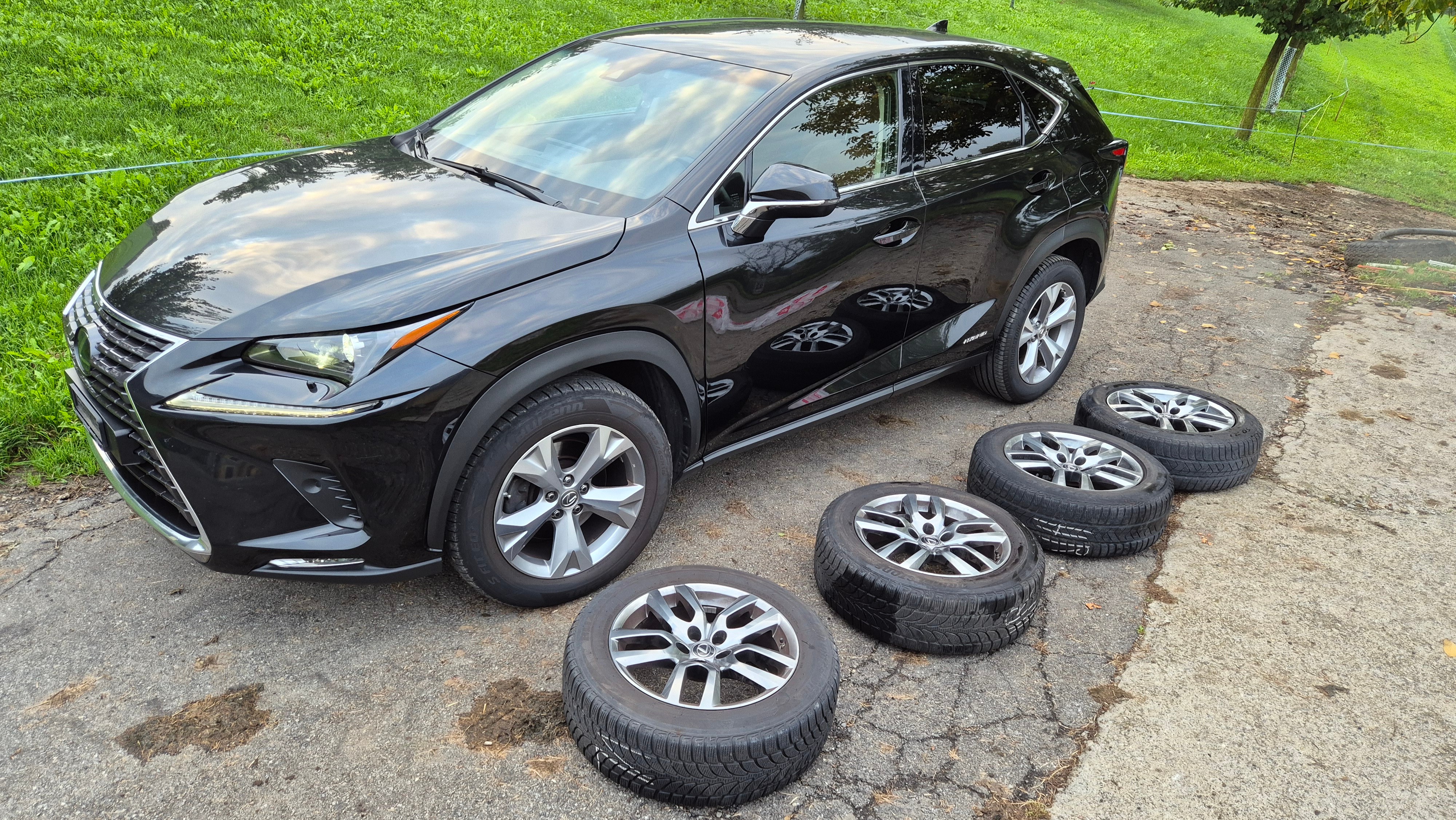 Car photo