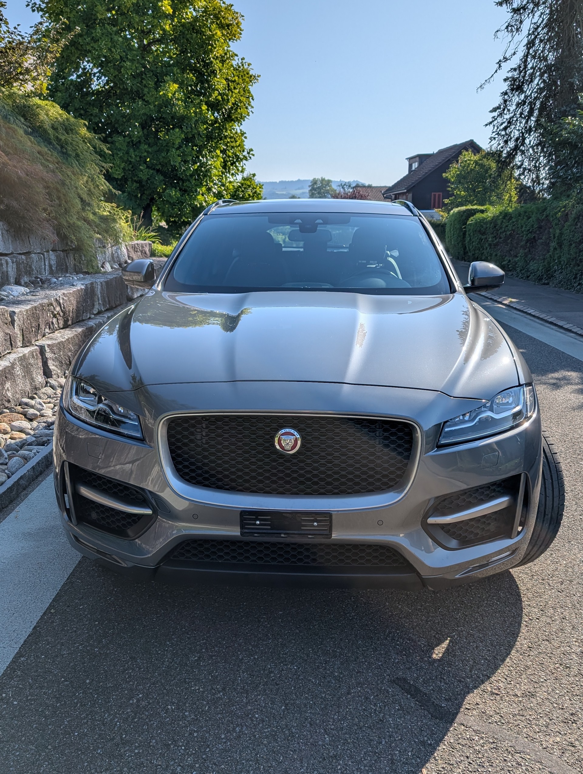JAGUAR F-Pace 3.0 TD R-Sport AWD Automatik-image-10