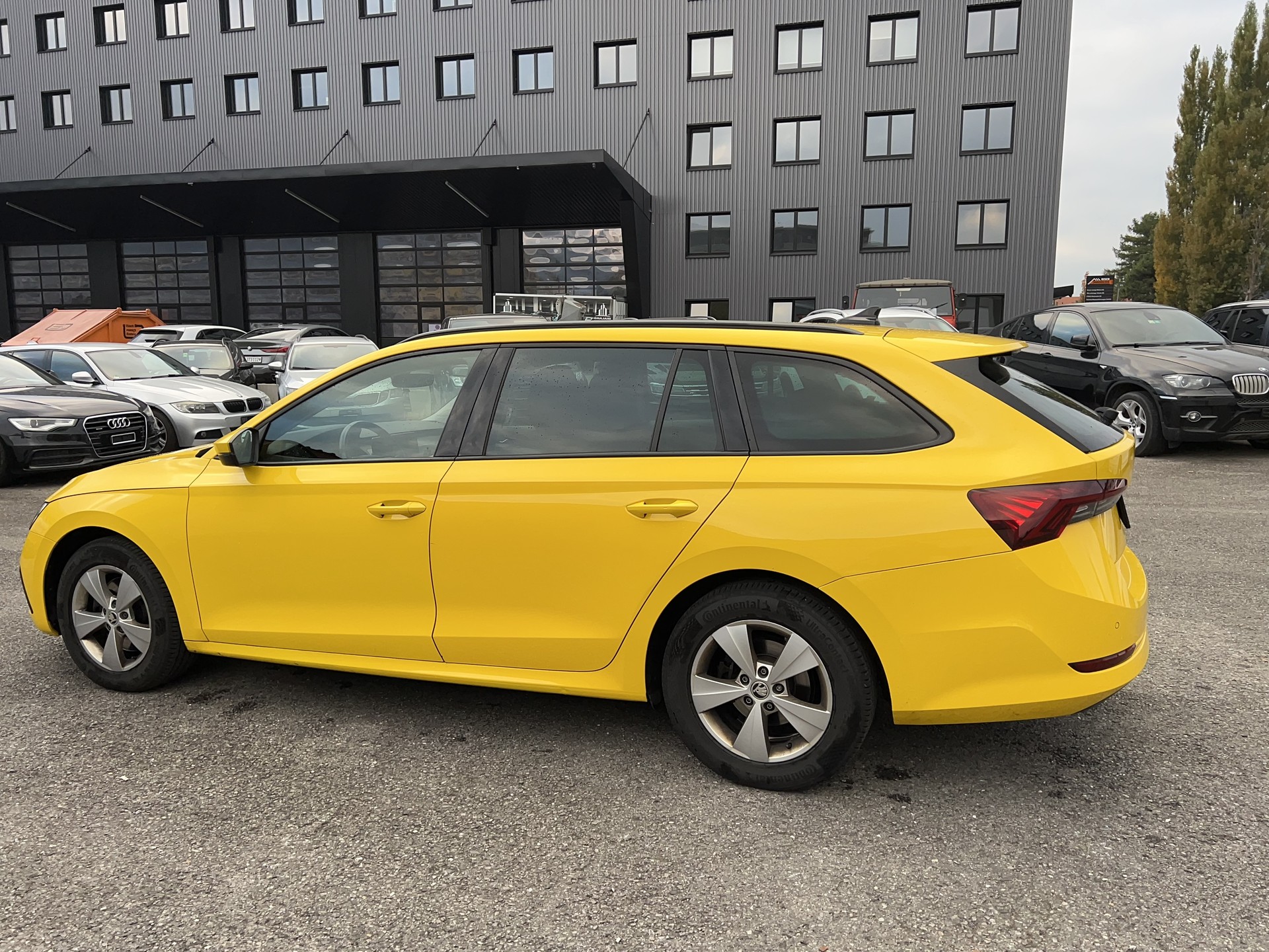 SKODA OCTAVIA-image-4