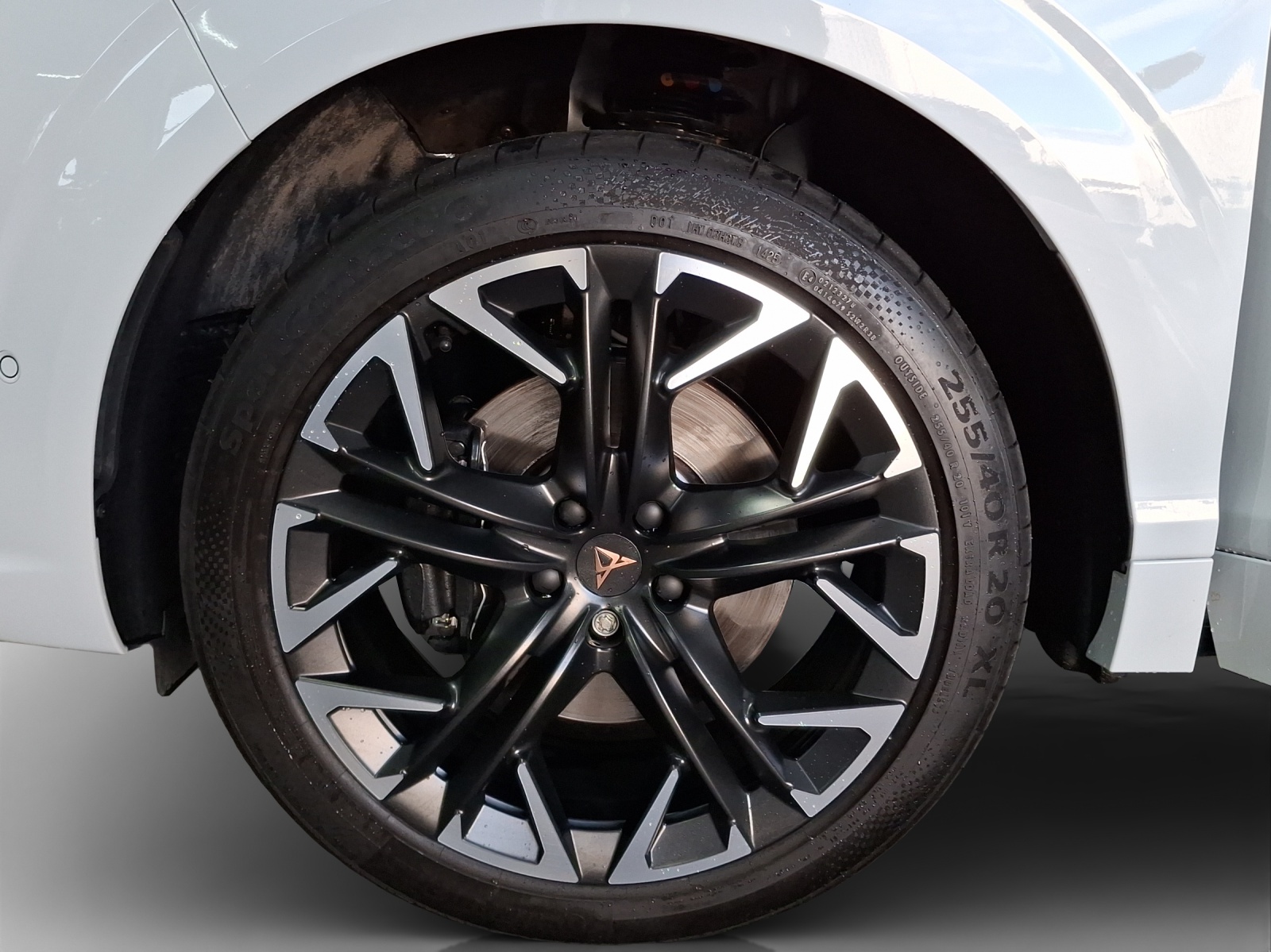 CUPRA Terramar 2.0 TSI DSG 4Drive VZ-image-14