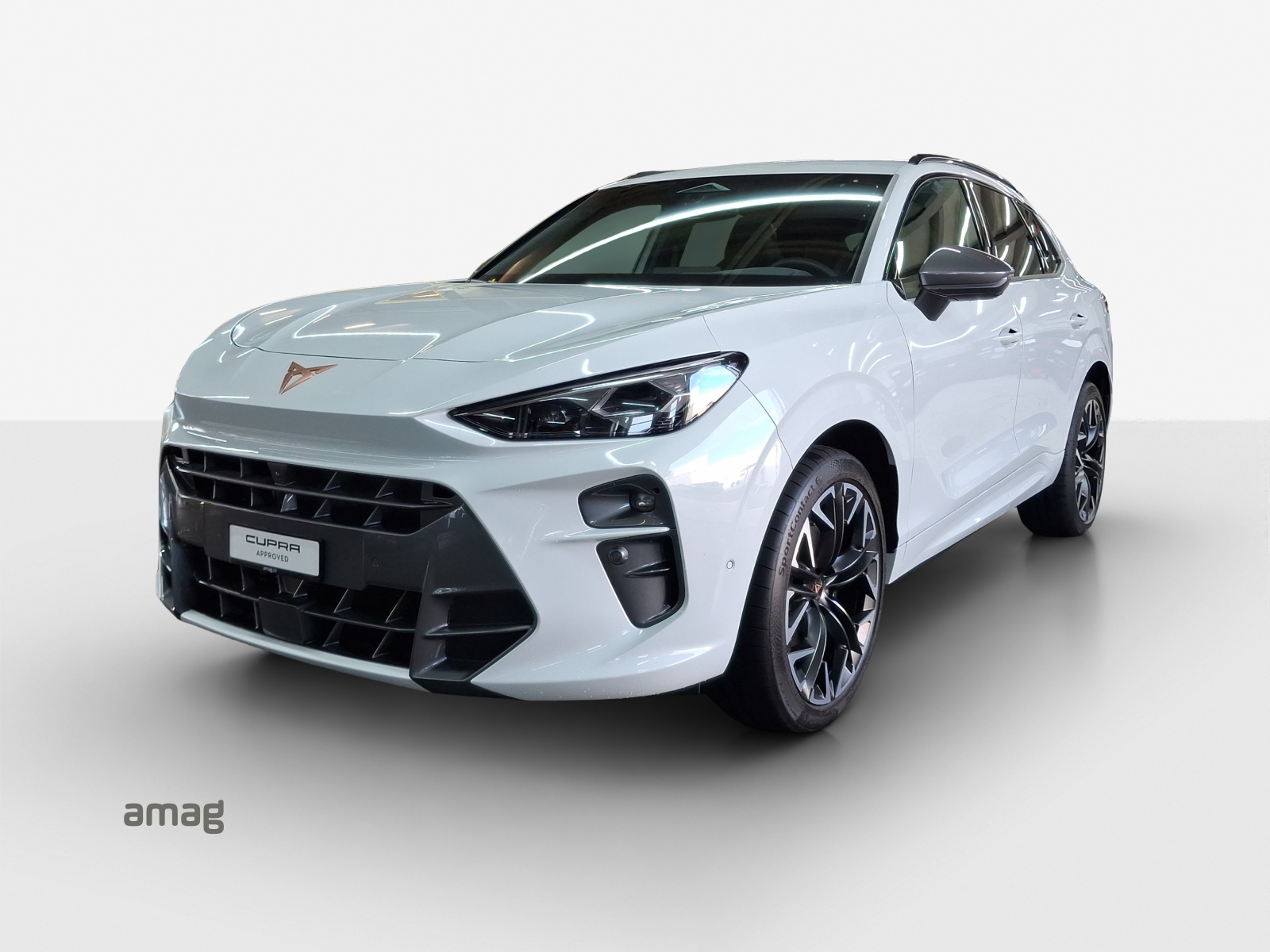 CUPRA Terramar 2.0 TSI DSG 4Drive VZ-image-0