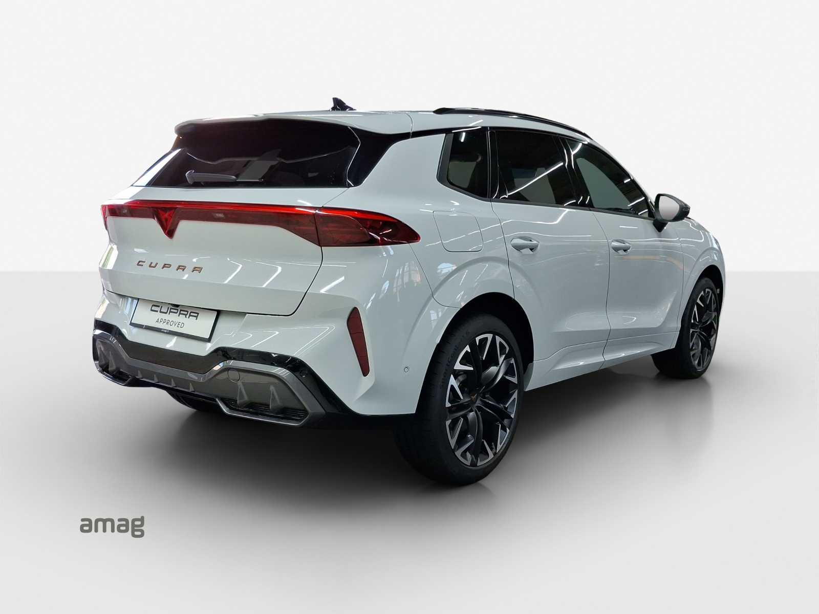 CUPRA Terramar 2.0 TSI DSG 4Drive VZ-image-4