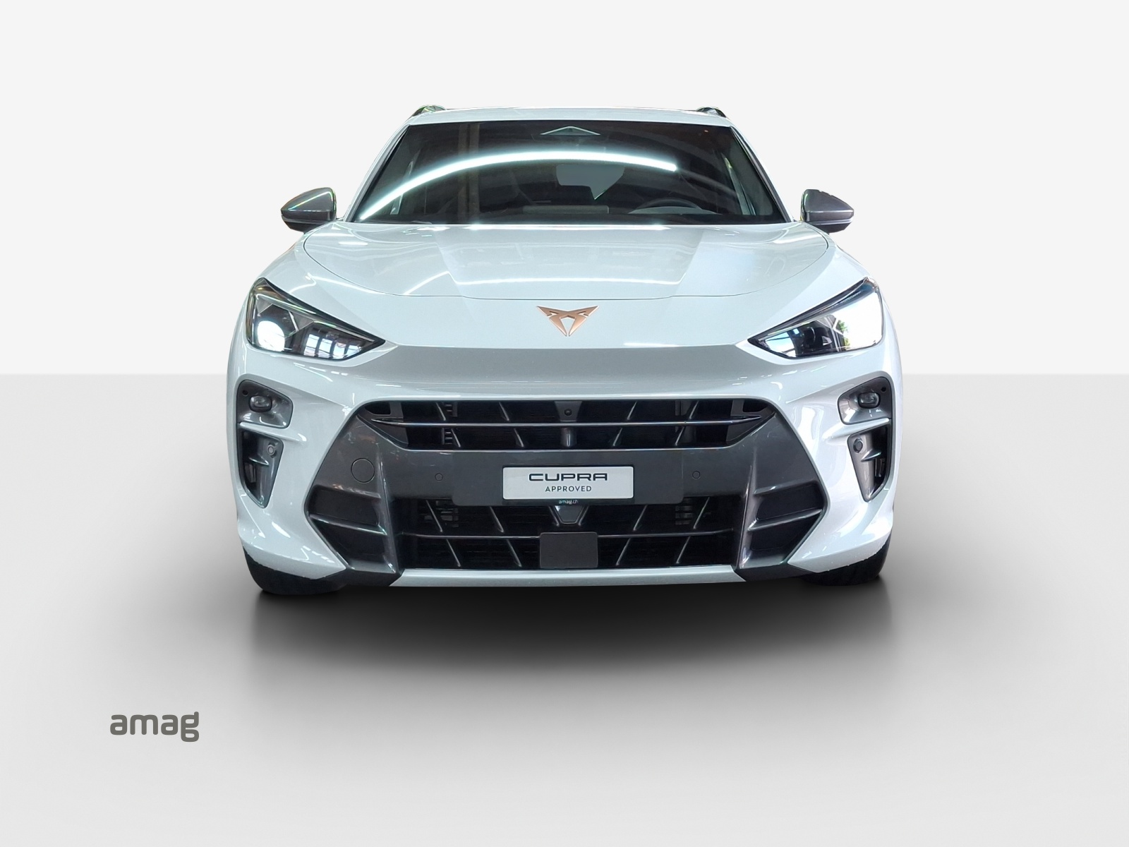 CUPRA Terramar 2.0 TSI DSG 4Drive VZ-image-6