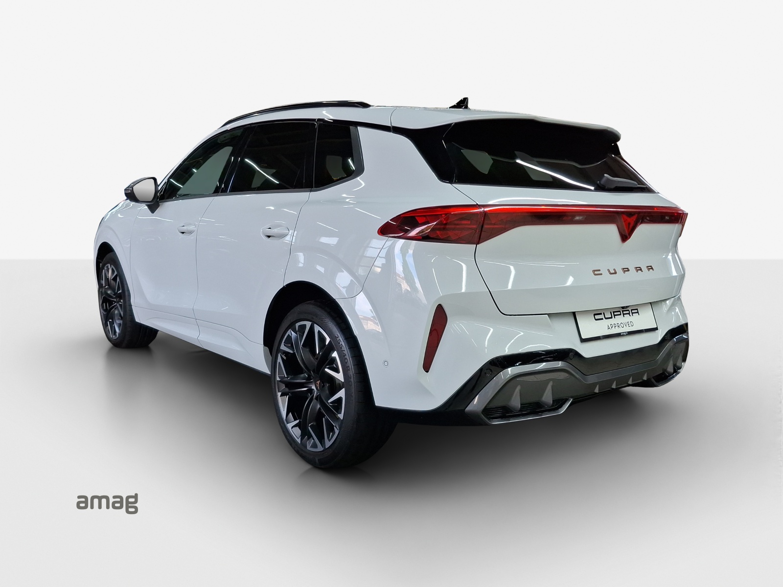 CUPRA Terramar 2.0 TSI DSG 4Drive VZ-image-2