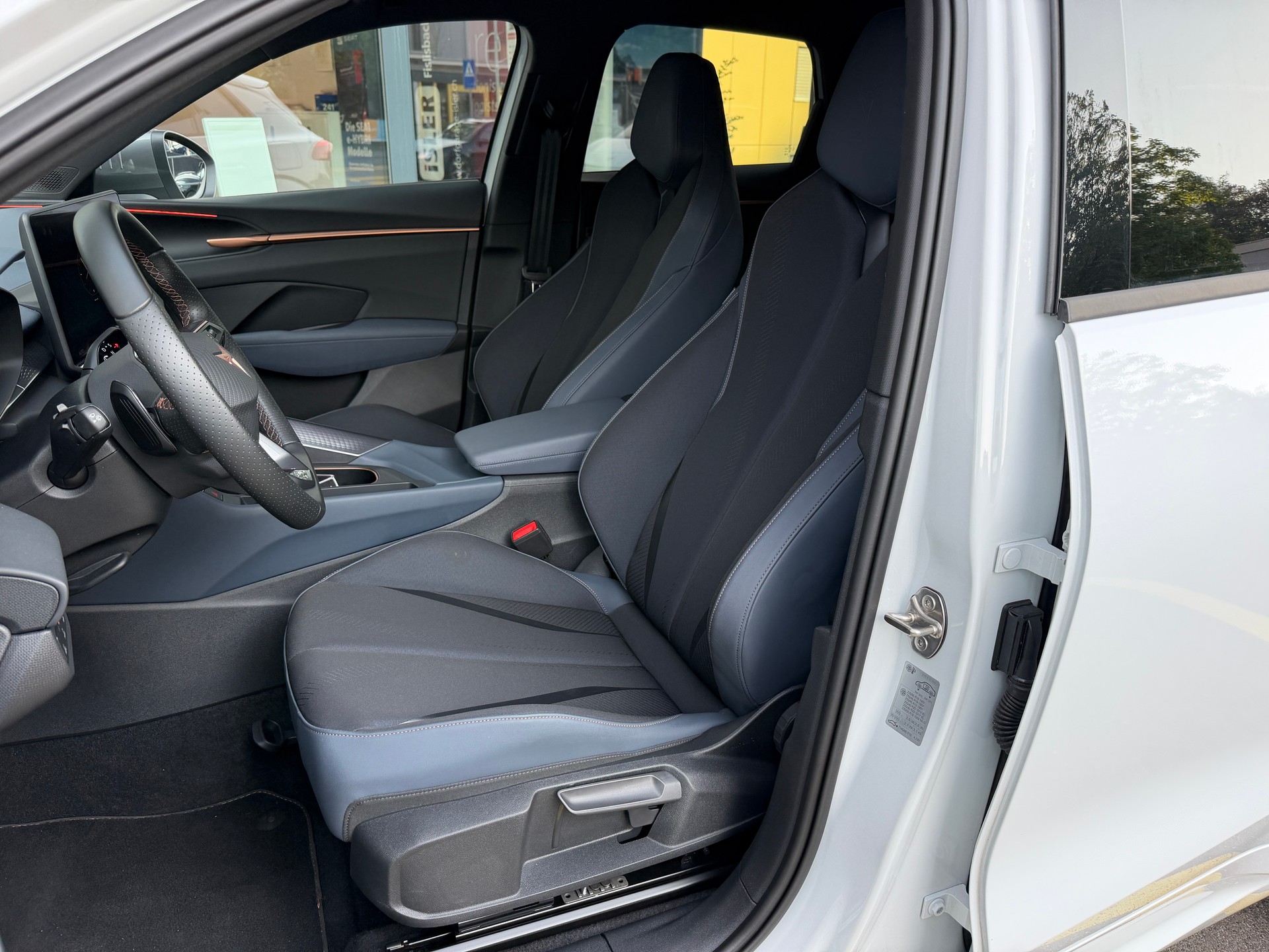 CUPRA Terramar 2.0 TSI DSG 4Drive VZ-image-8