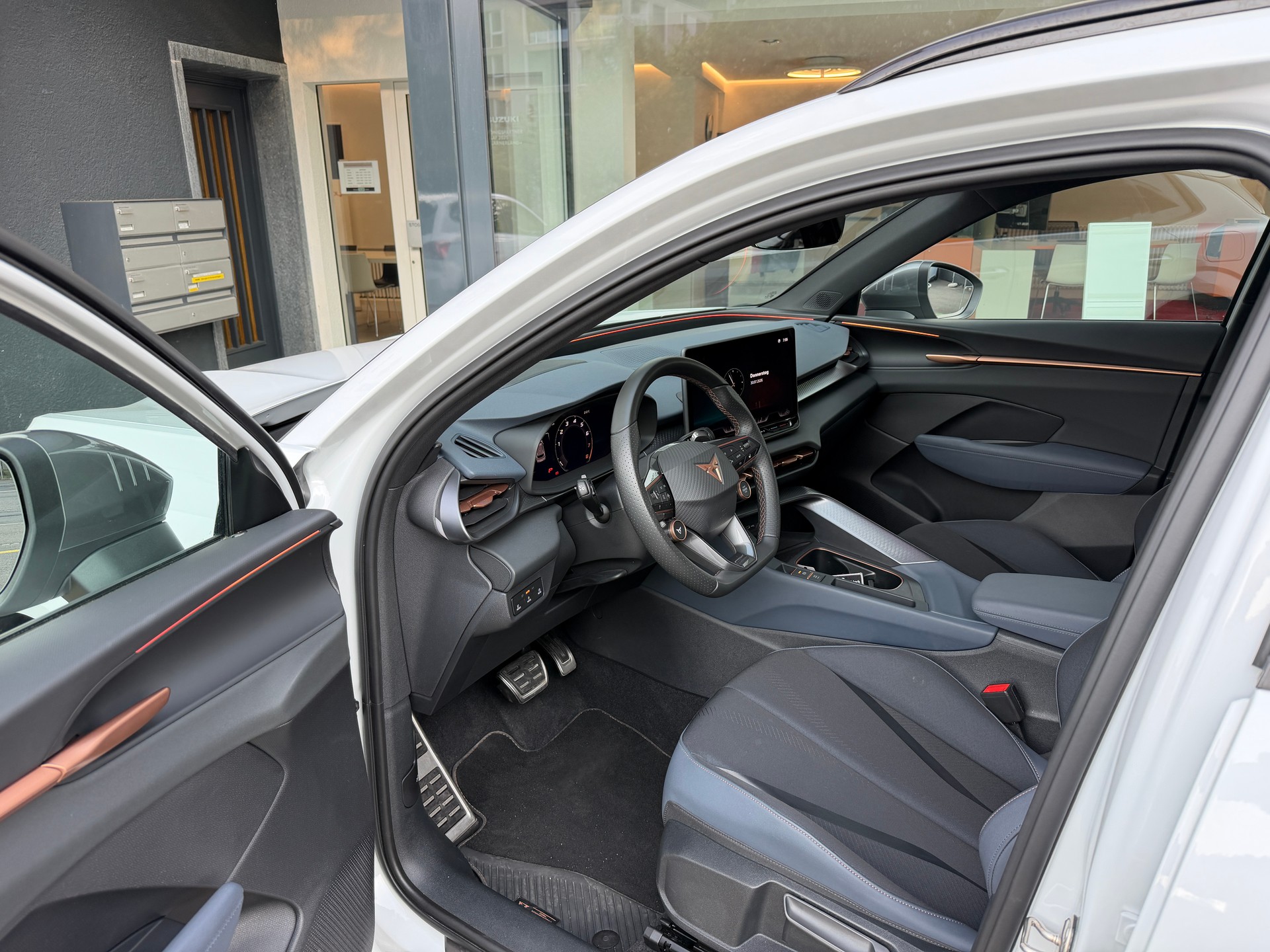 CUPRA Terramar 2.0 TSI DSG 4Drive VZ-image-9