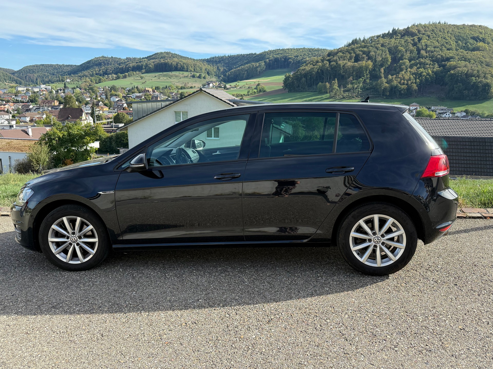 VW 2.0 TDI Lounge 4m-image-2