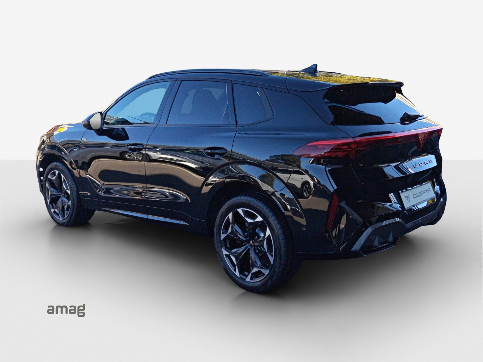 CUPRA Terramar 2.0 TSI DSG 4Drive VZ-showroom-element-2