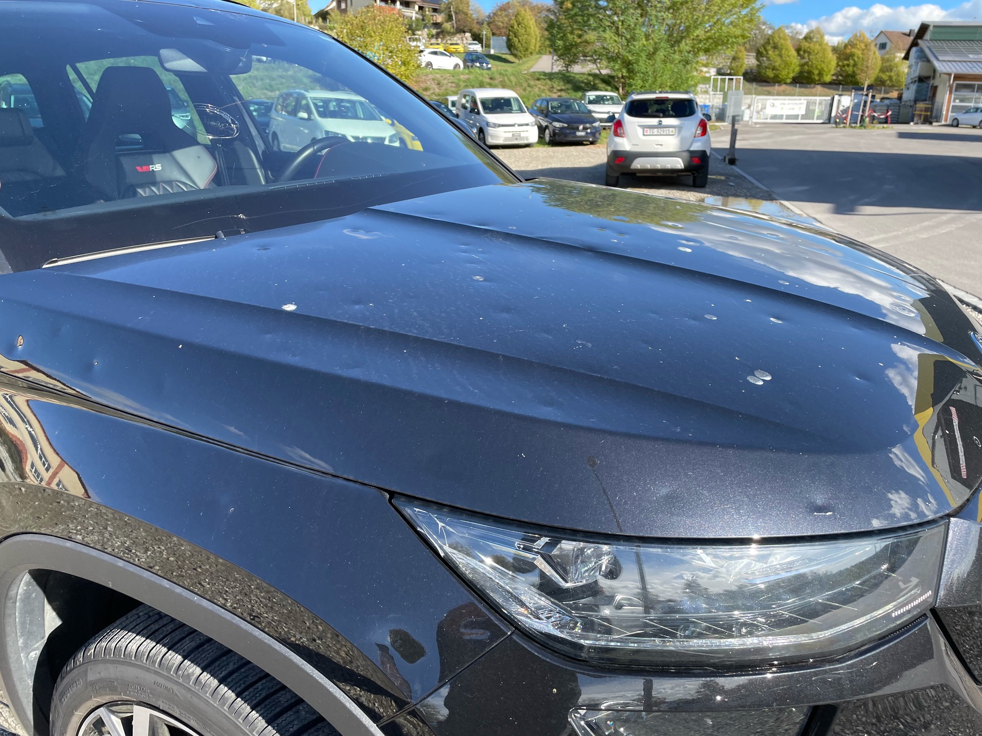 SKODA Kodiaq 2.0 TSI 4x4 RS-image-13