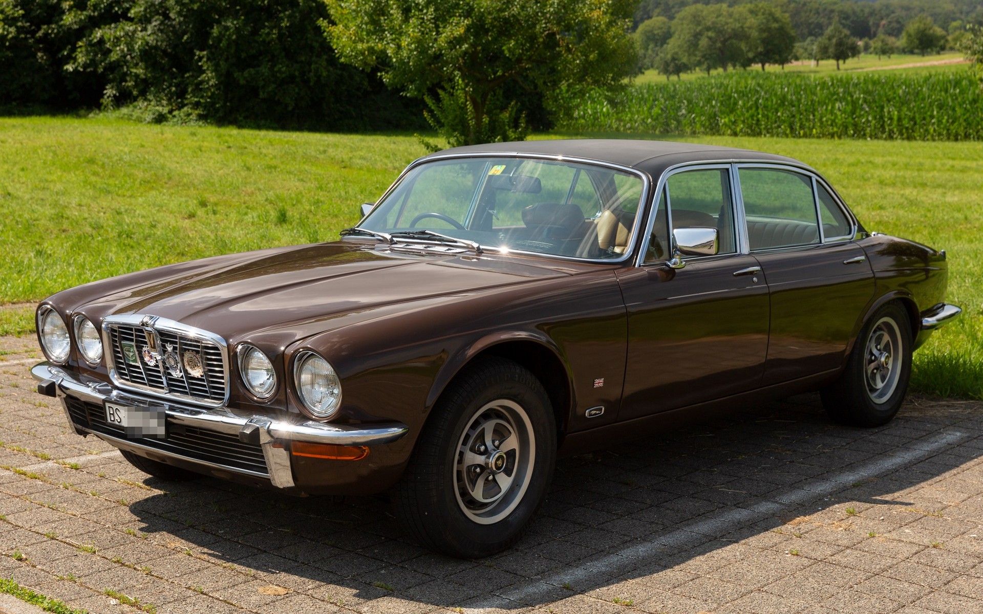 JAGUAR XJ 12 5.3L, Serie II-image-2