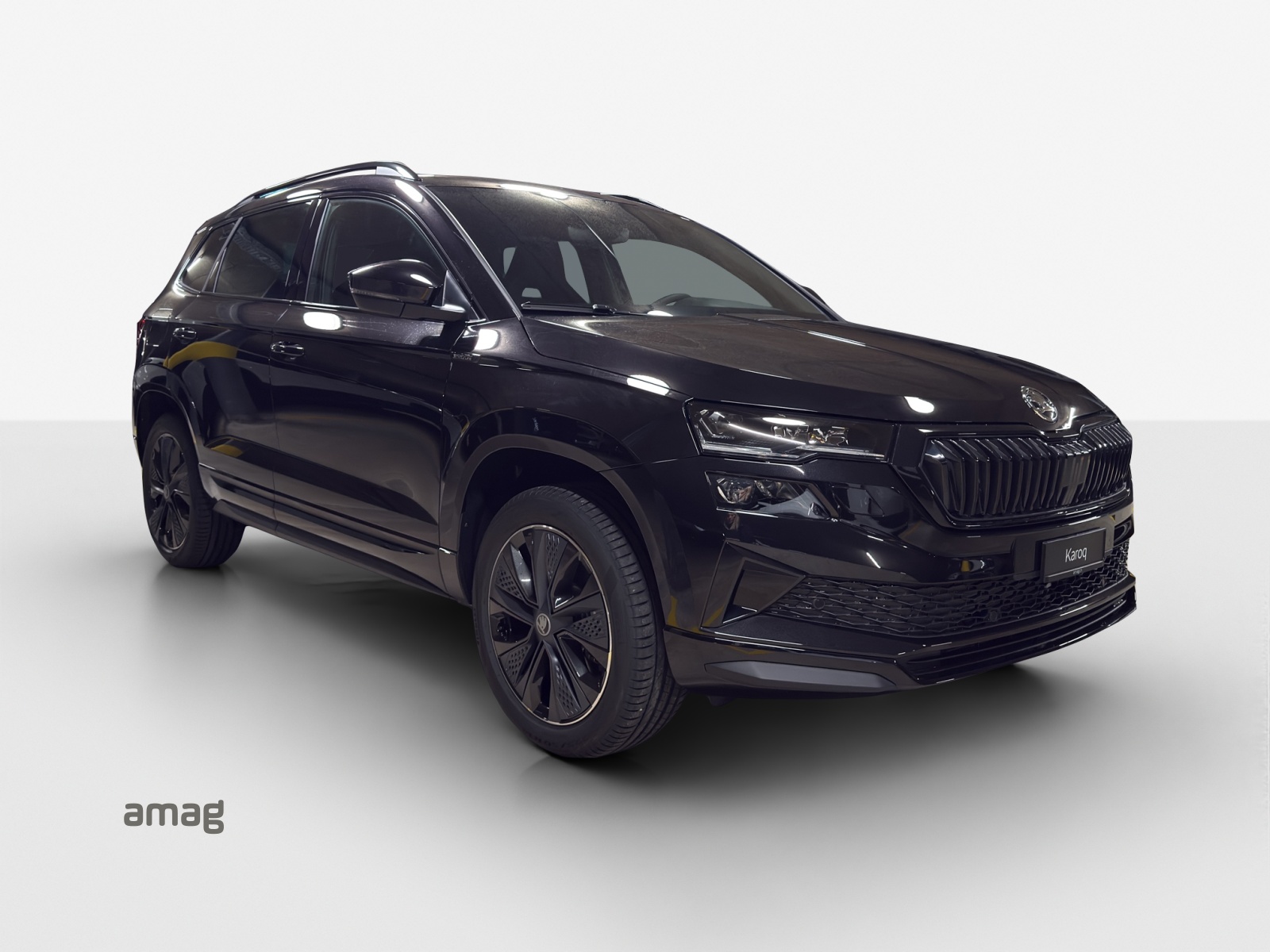 SKODA Karoq 2.0 TSI SportLine 4x4 DSG-image-5